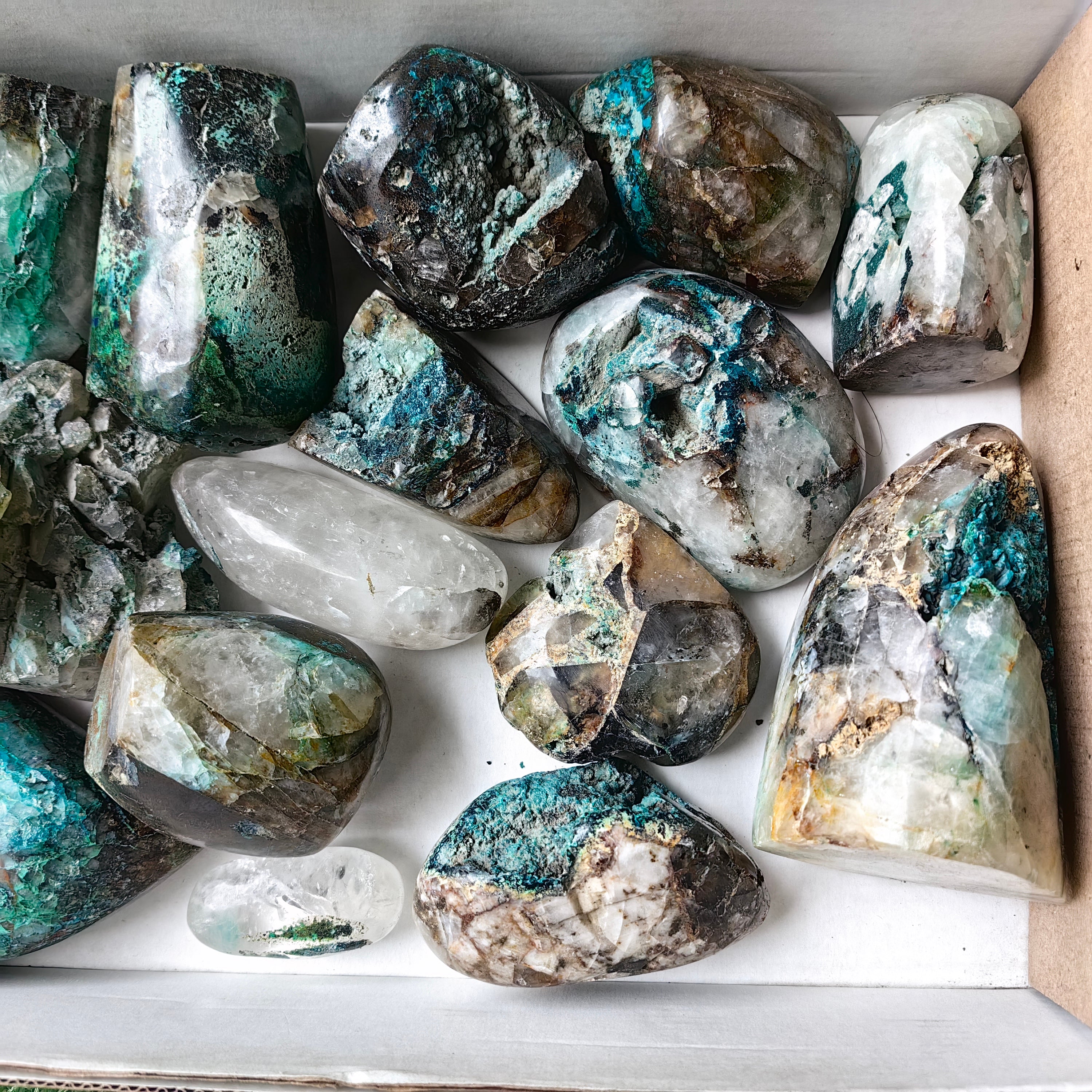Lot 15 pcs Quantum quattro Free form