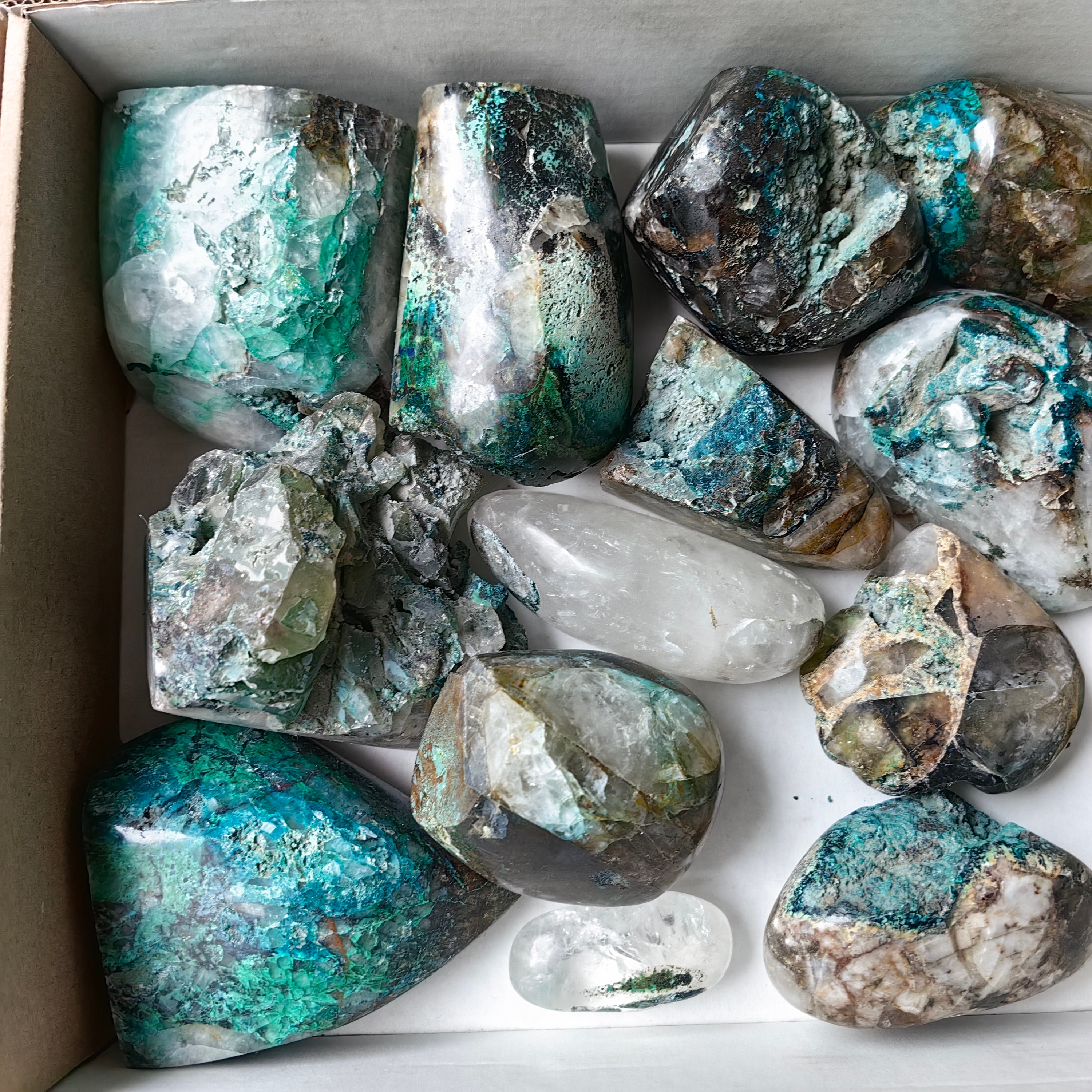 Lot 15 pcs Quantum quattro Free form