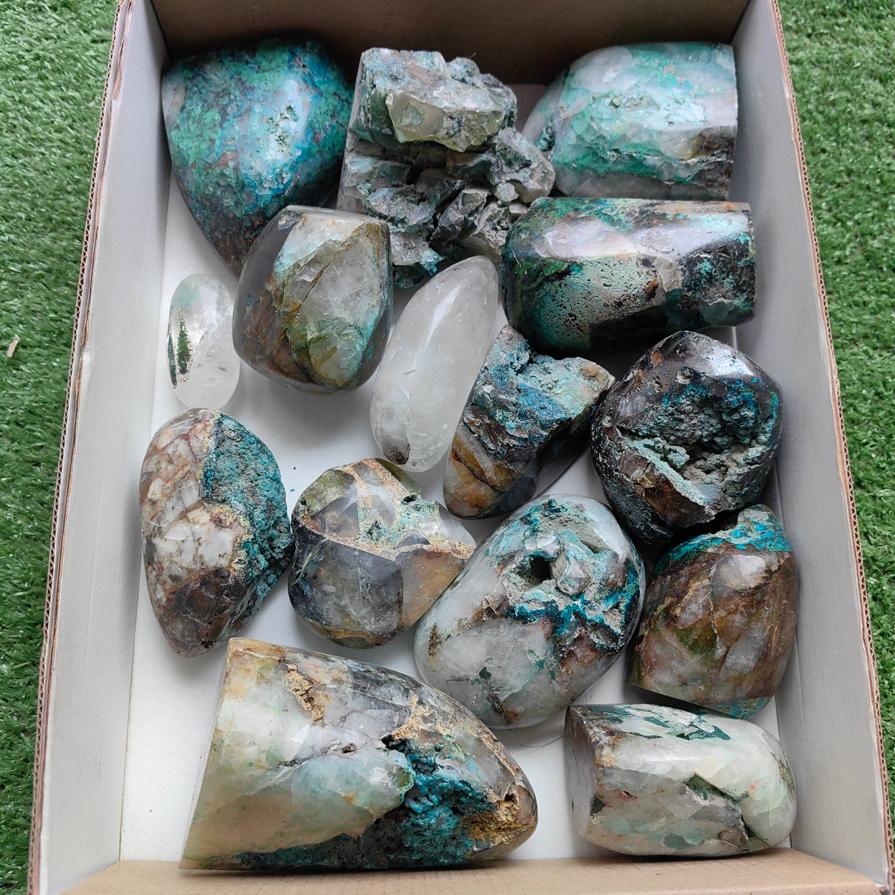 Lot 15 pcs Quantum quattro Free form