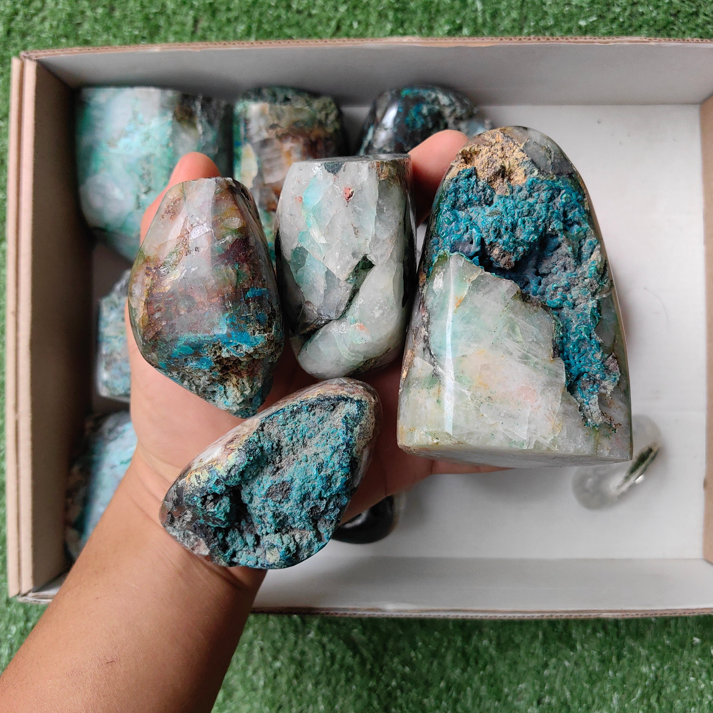 Lot 15 pcs Quantum quattro Free form