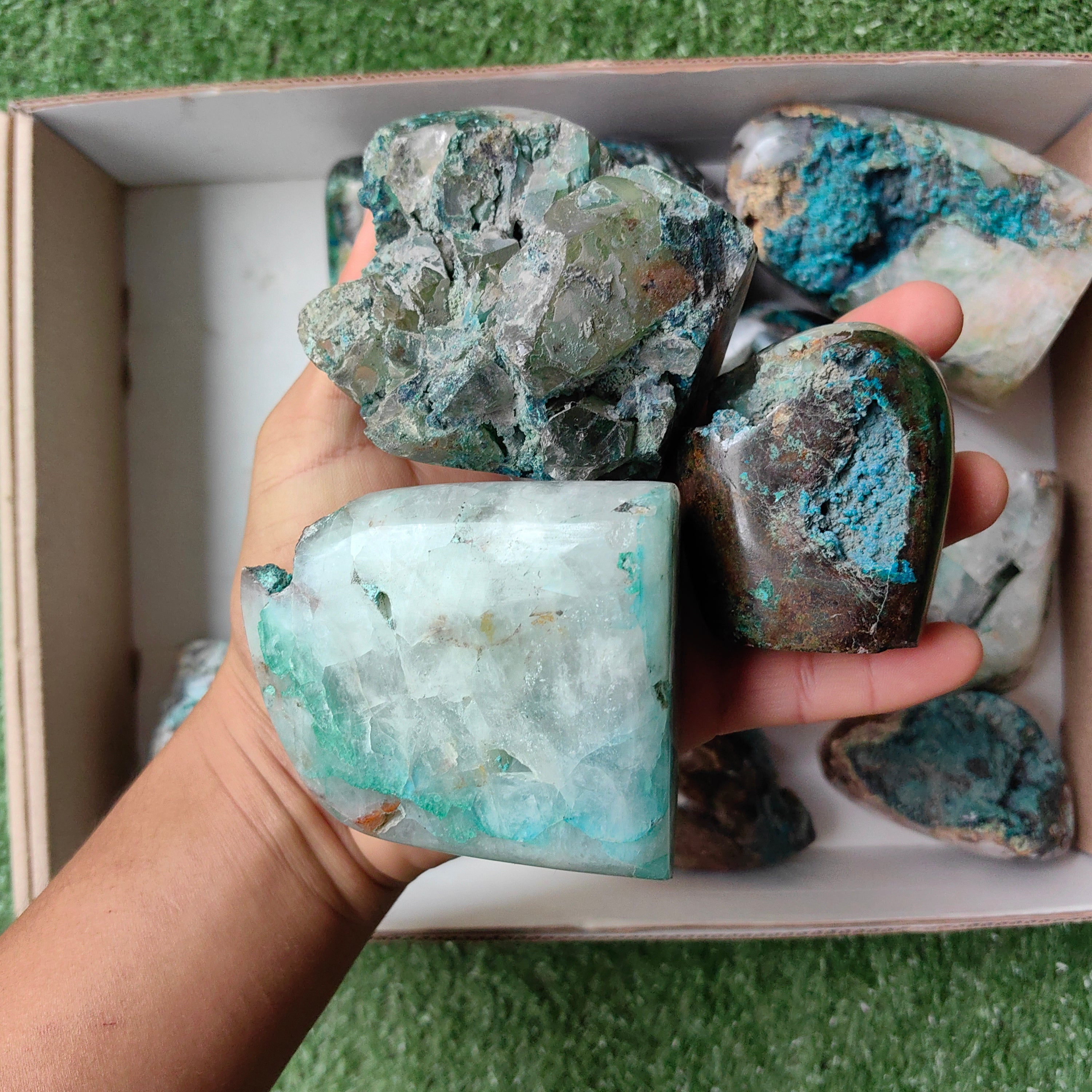 Lot 15 pcs Quantum quattro Free form