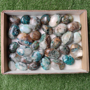 Lot 32 pcs Quantum Quattro palm