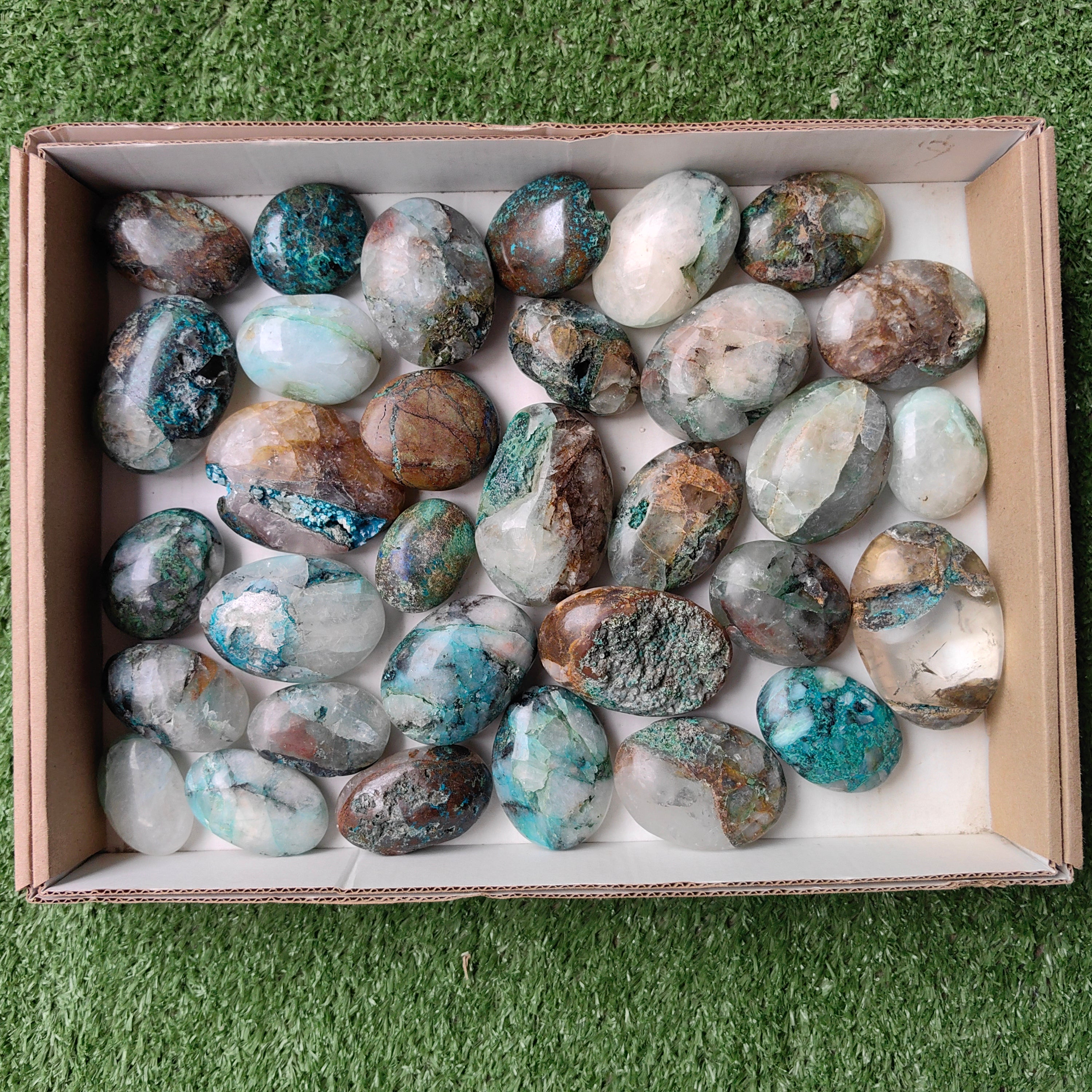 Lot 32 pcs Quantum Quattro palm