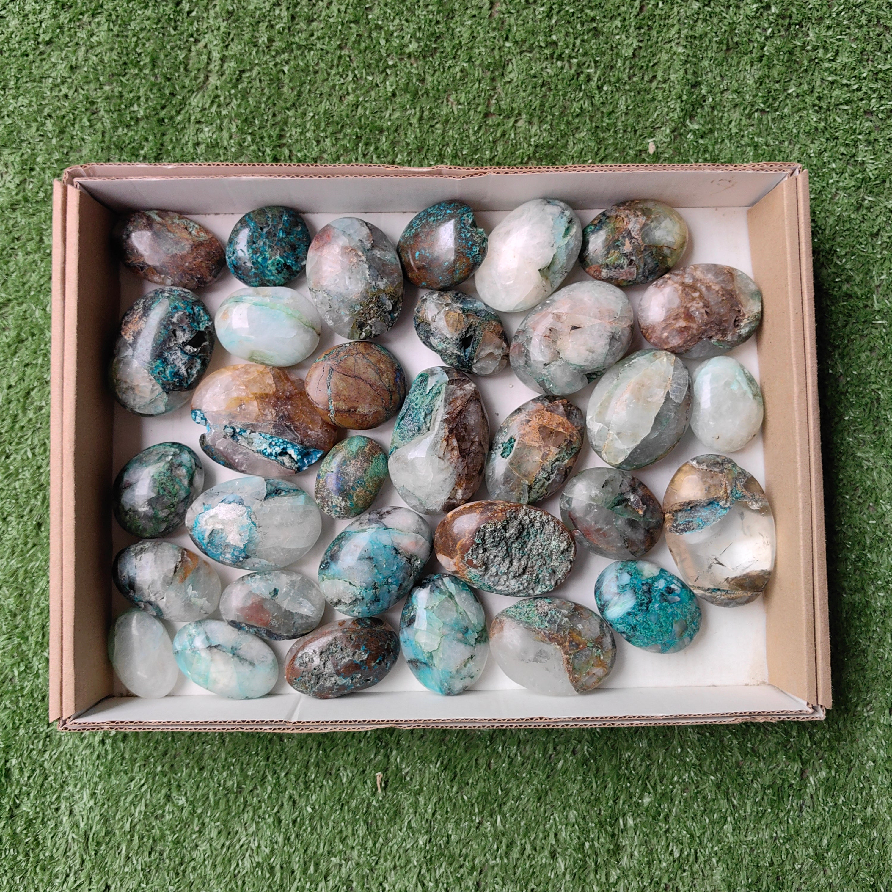 Lot 32 pcs Quantum Quattro palm