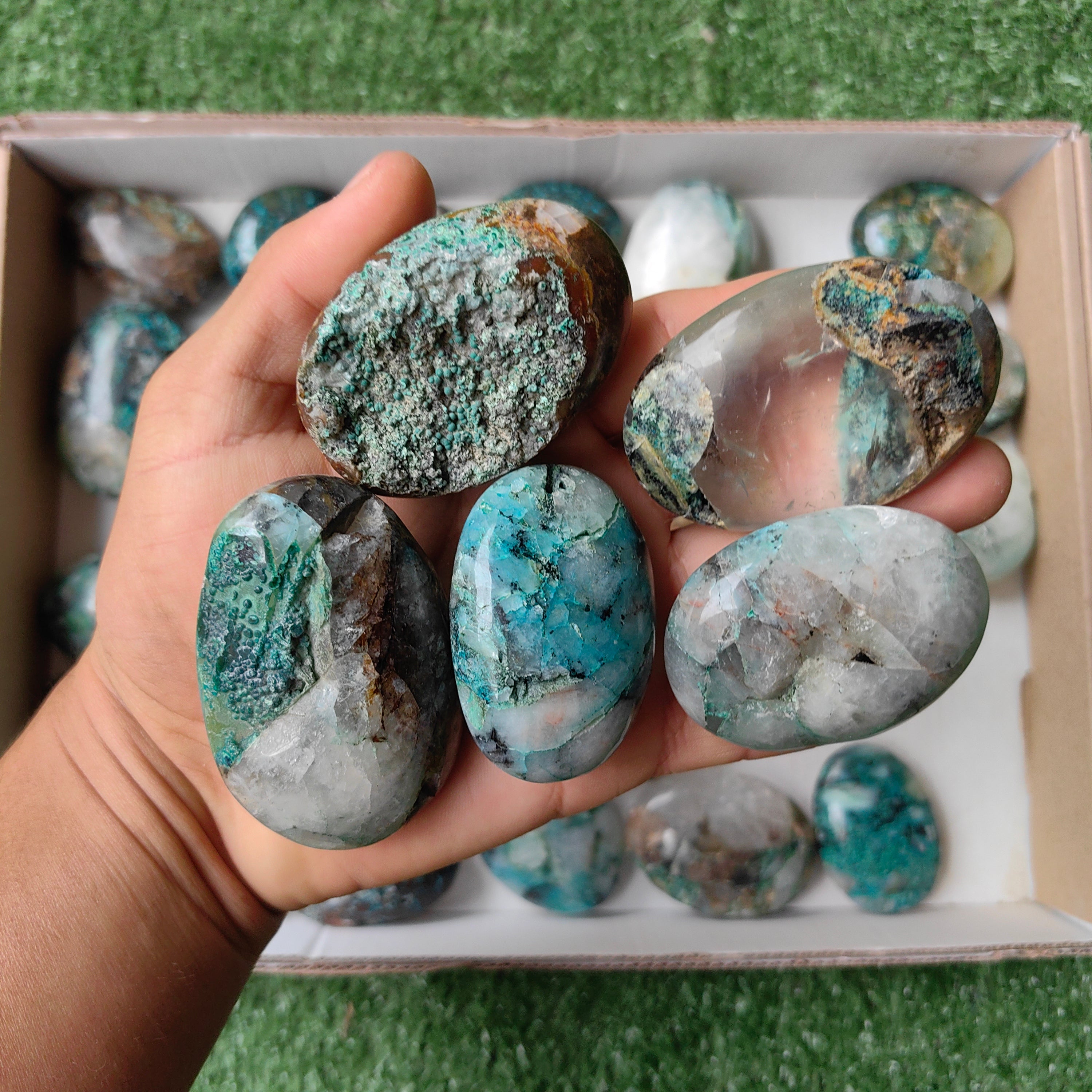 Lot 32 pcs Quantum Quattro palm