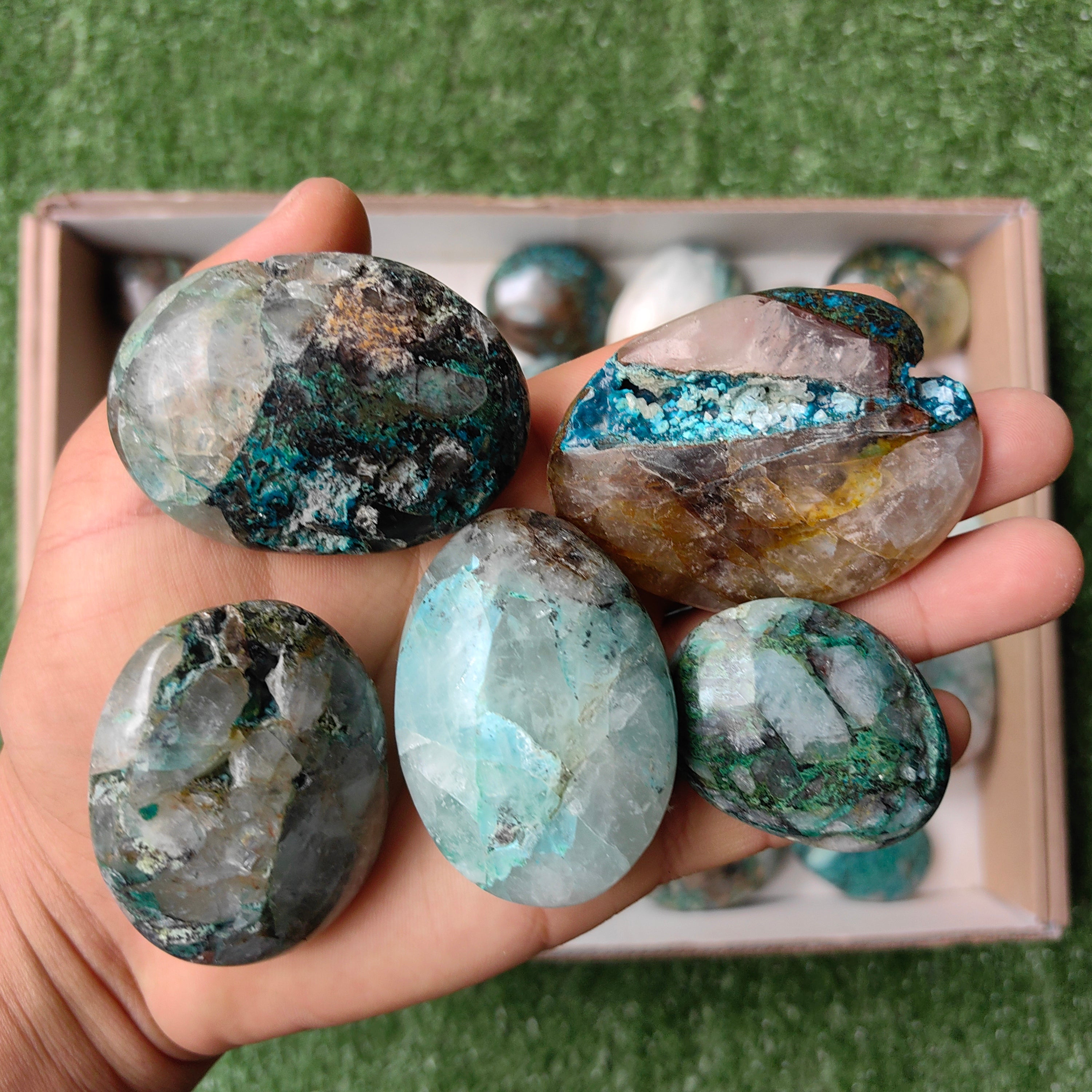Lot 32 pcs Quantum Quattro palm