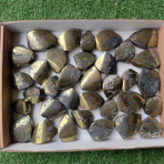 Lot 34 pcs Chalcopyrite Flames