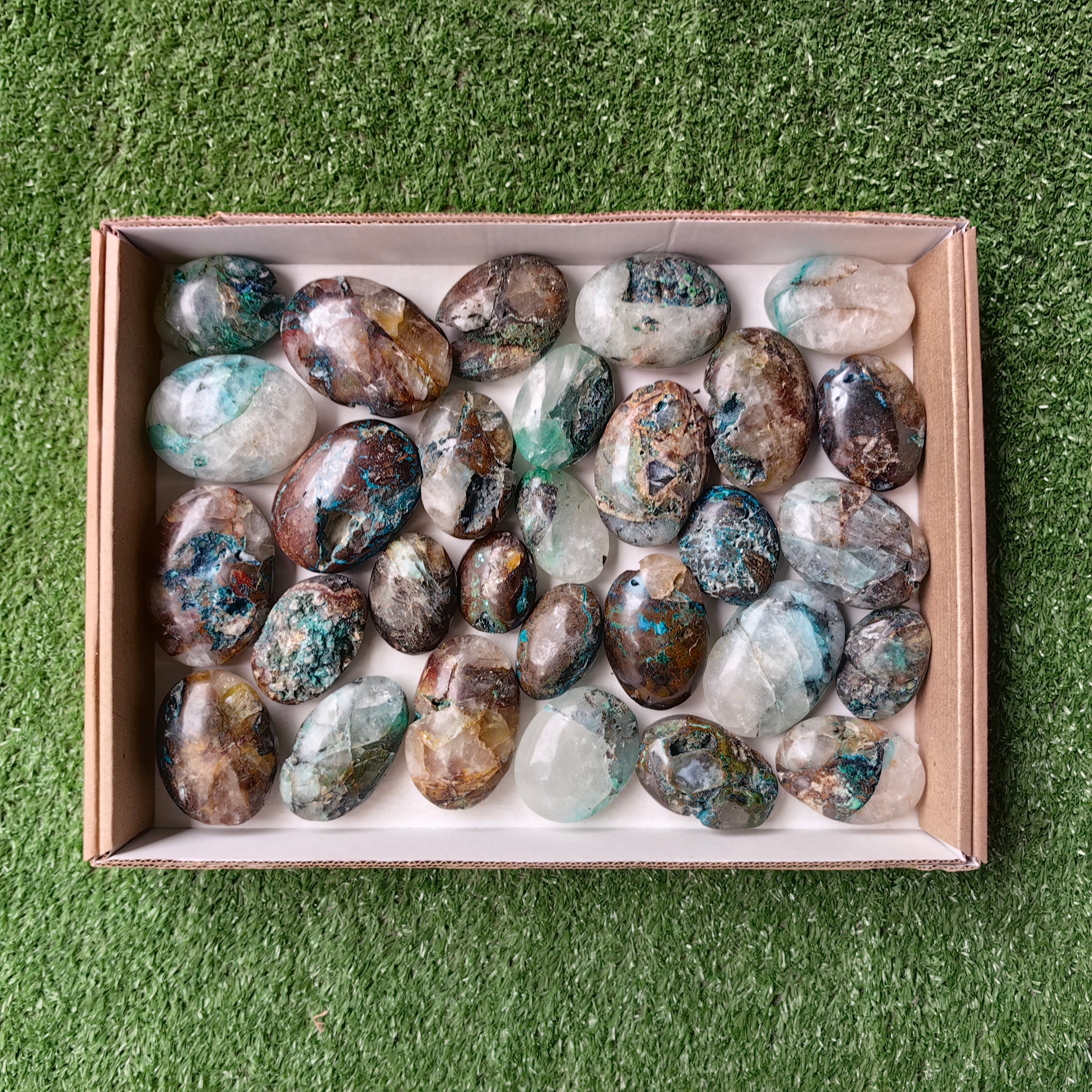 Lot 29 pcs Quantum quattro palm