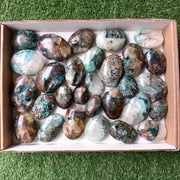 Lot 29 pcs Quantum quattro palm