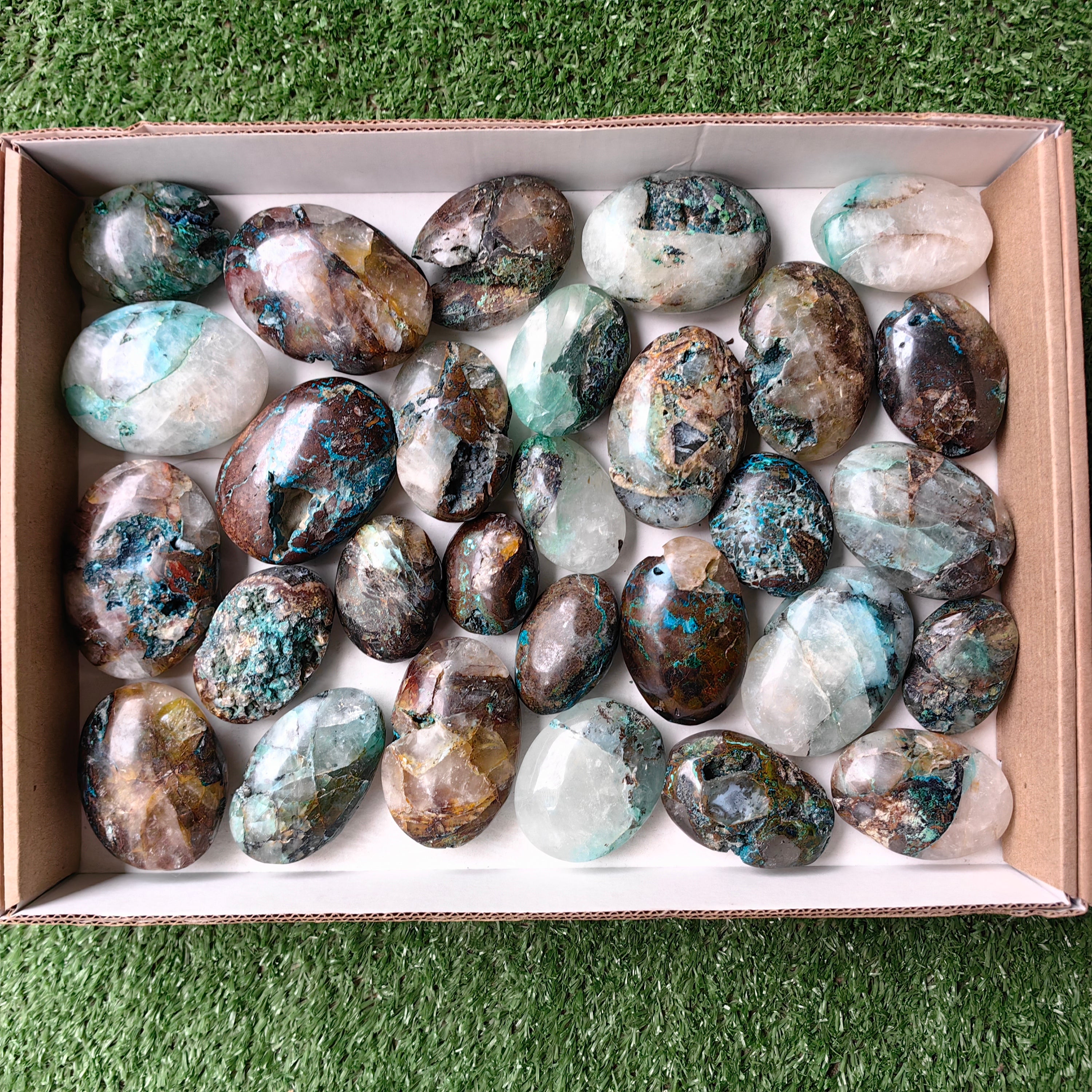 Lot 29 pcs Quantum quattro palm