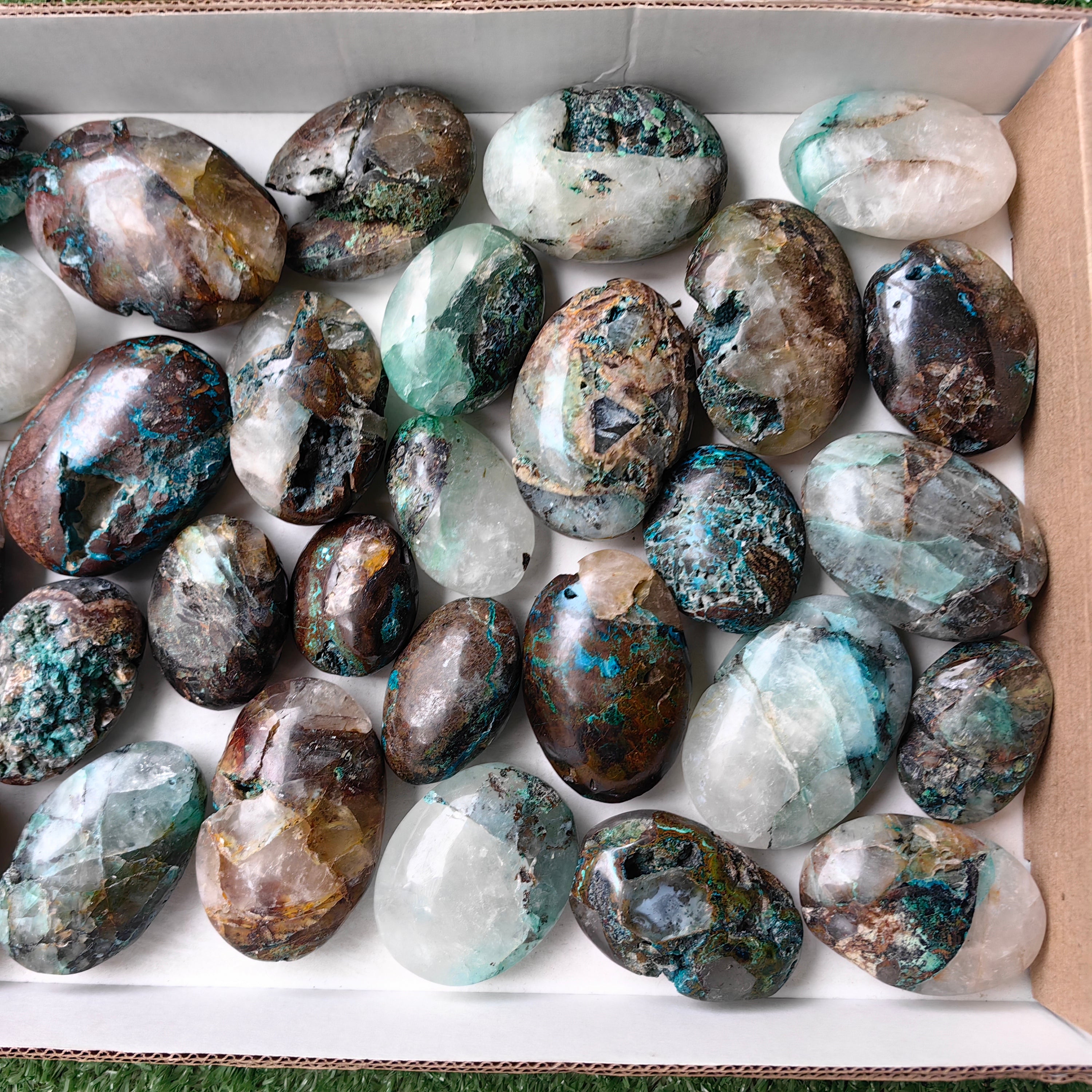 Lot 29 pcs Quantum quattro palm