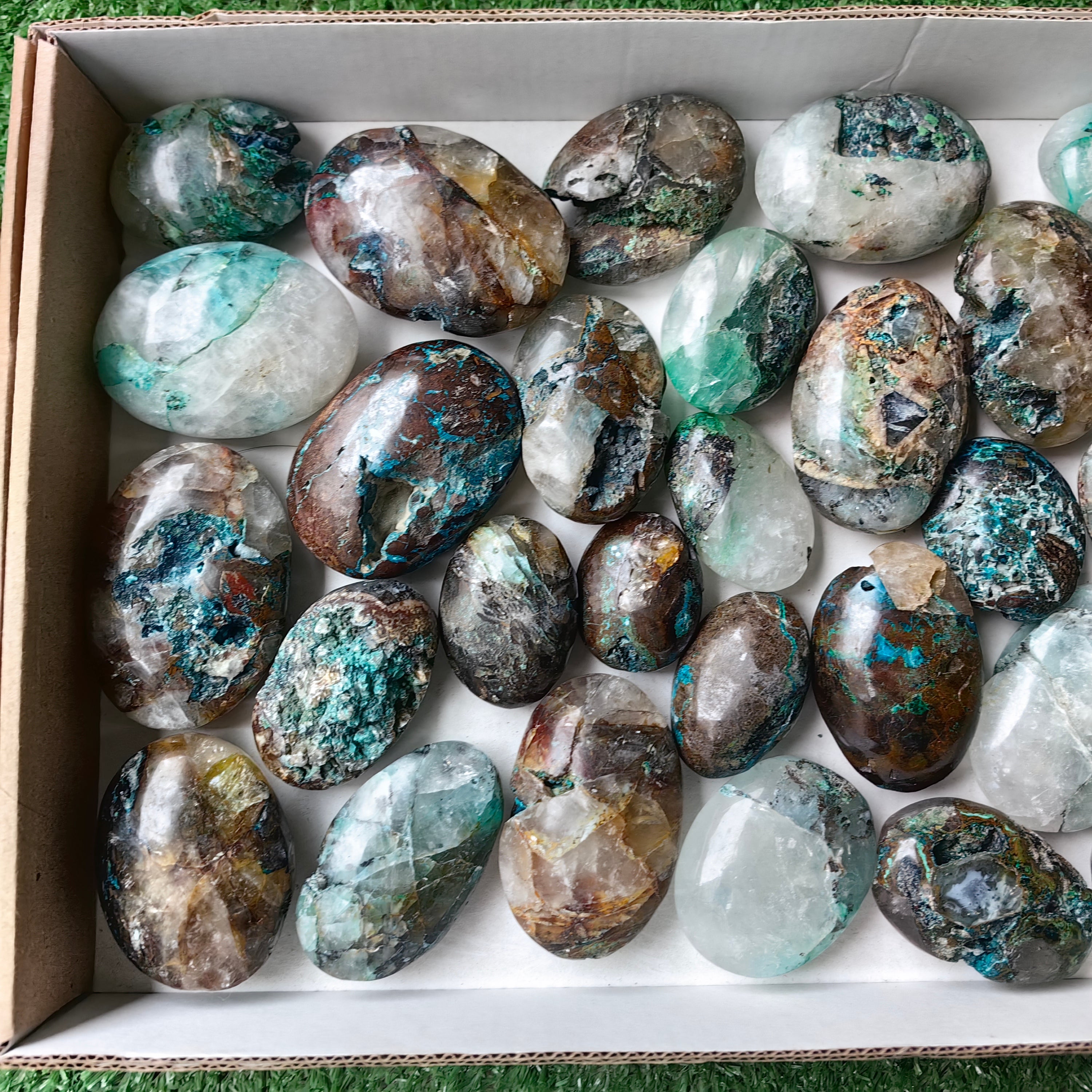 Lot 29 pcs Quantum quattro palm