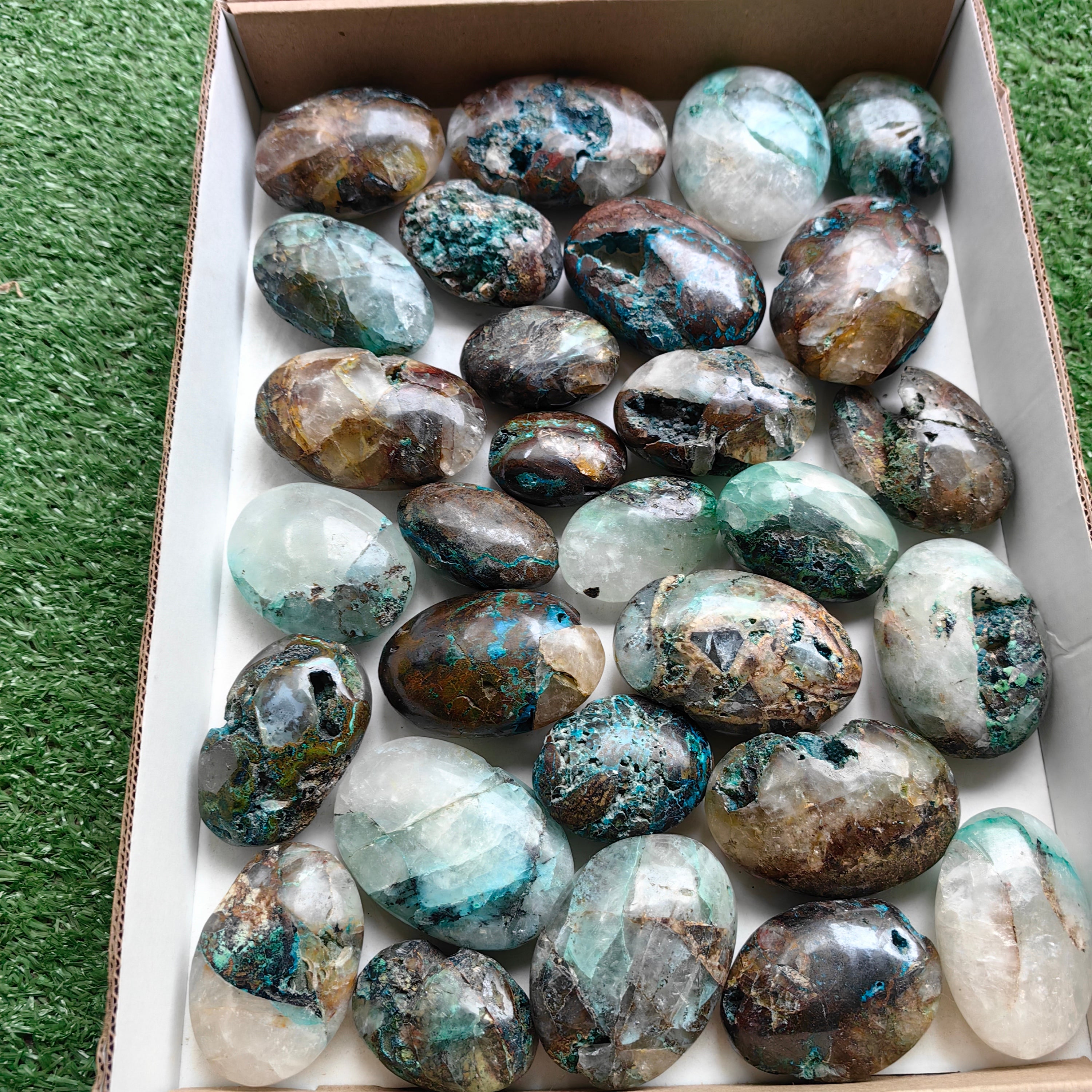 Lot 29 pcs Quantum quattro palm