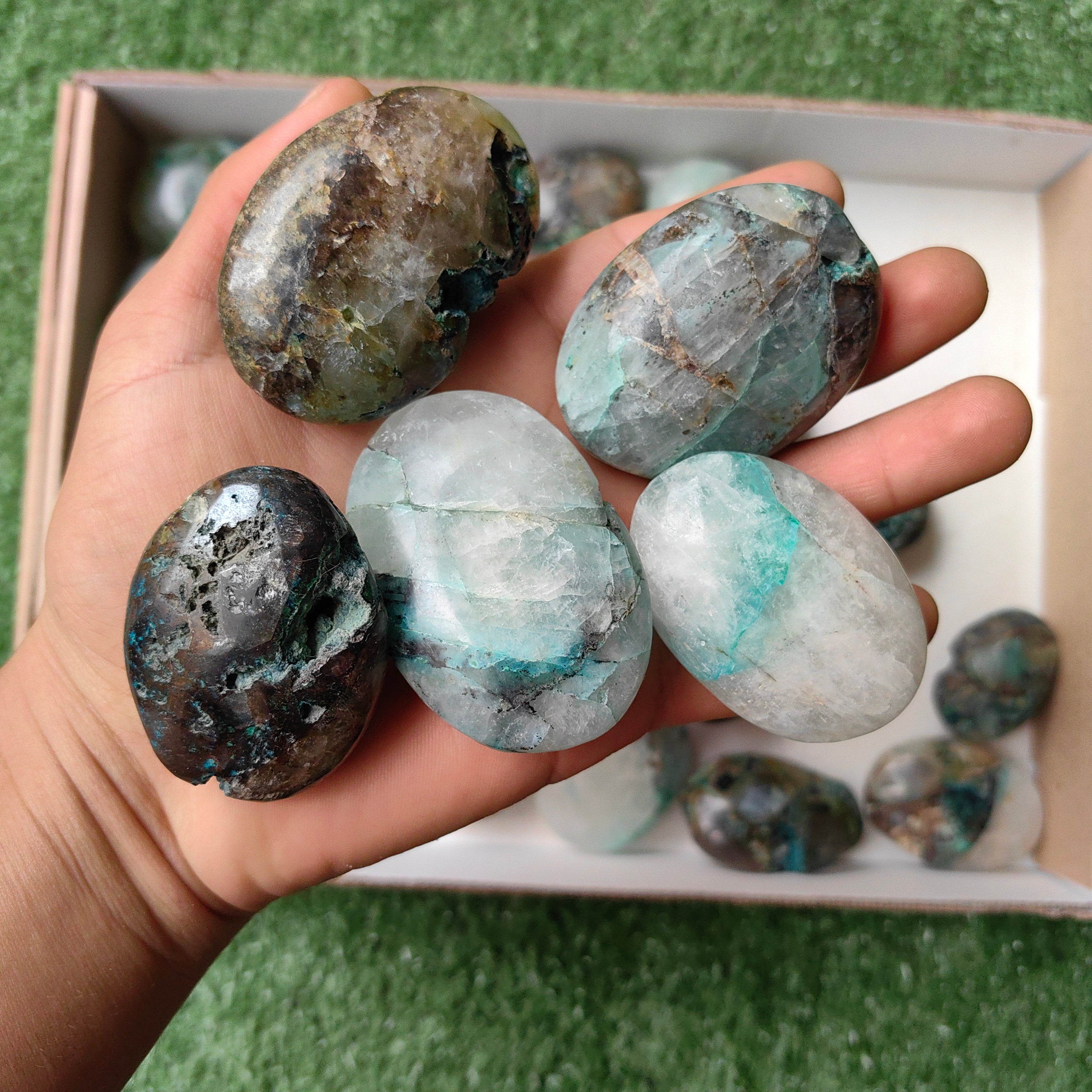 Lot 29 pcs Quantum quattro palm