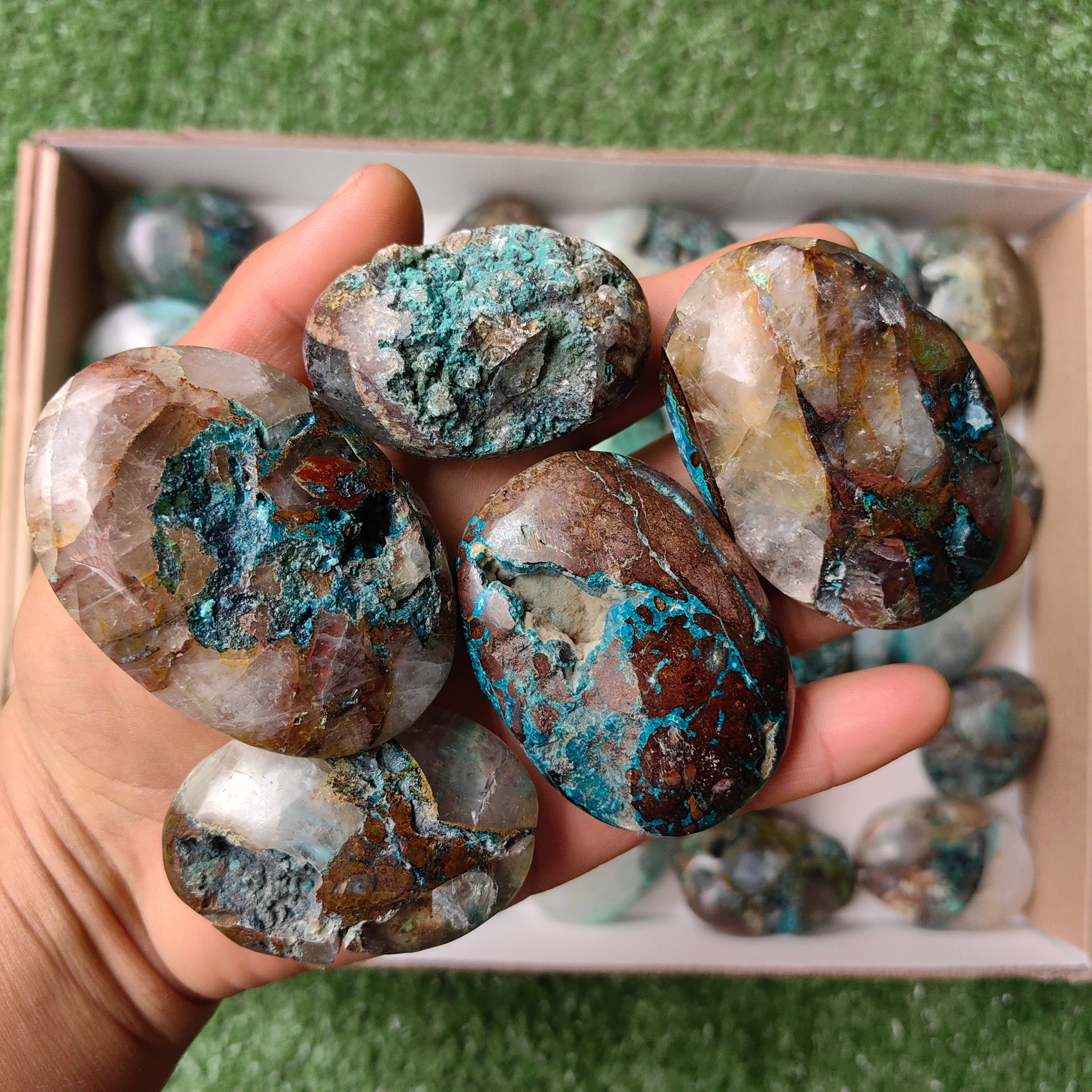 Lot 29 pcs Quantum quattro palm