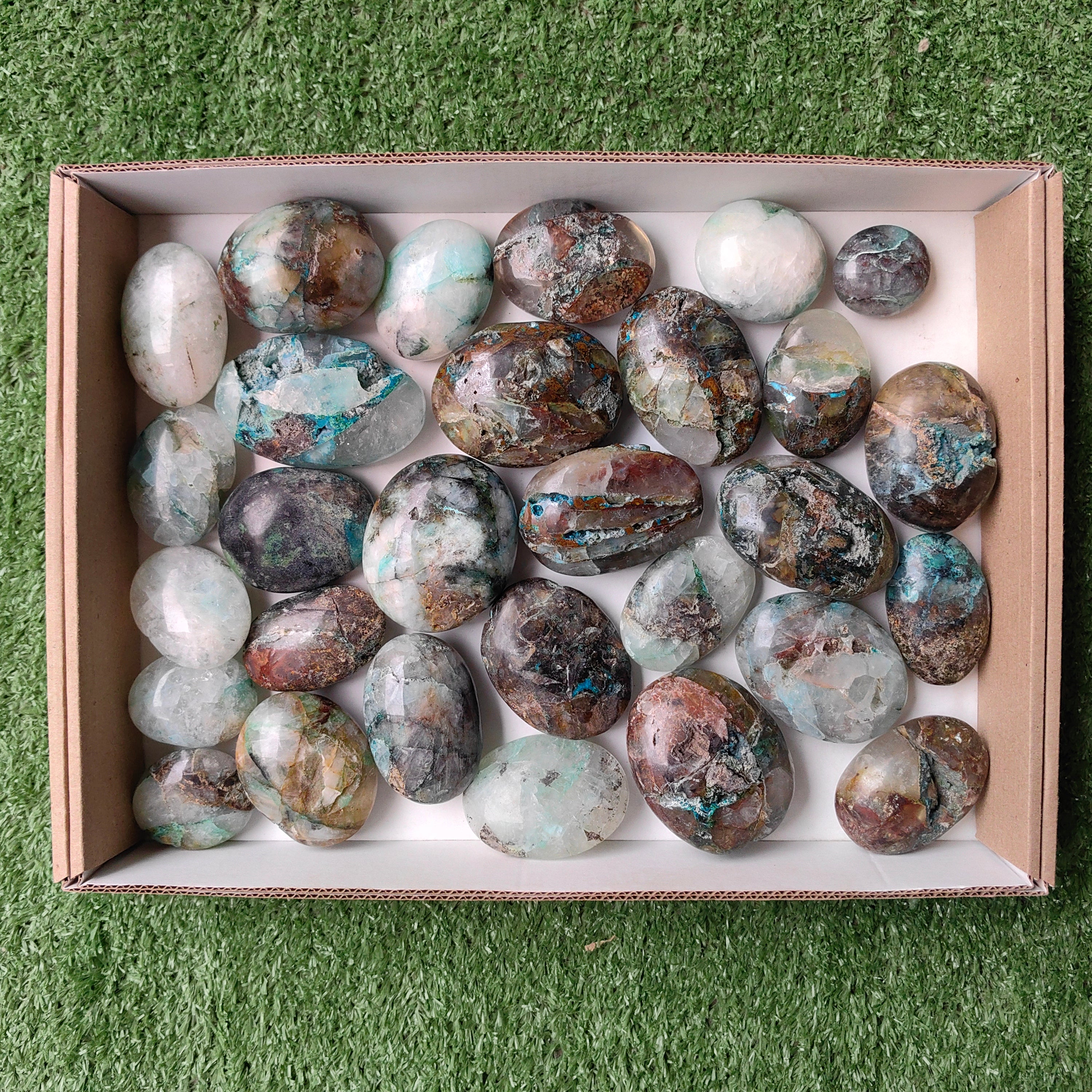 Lot 29 pcs Quantum quattro palm