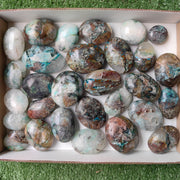 Lot 29 pcs Quantum quattro palm