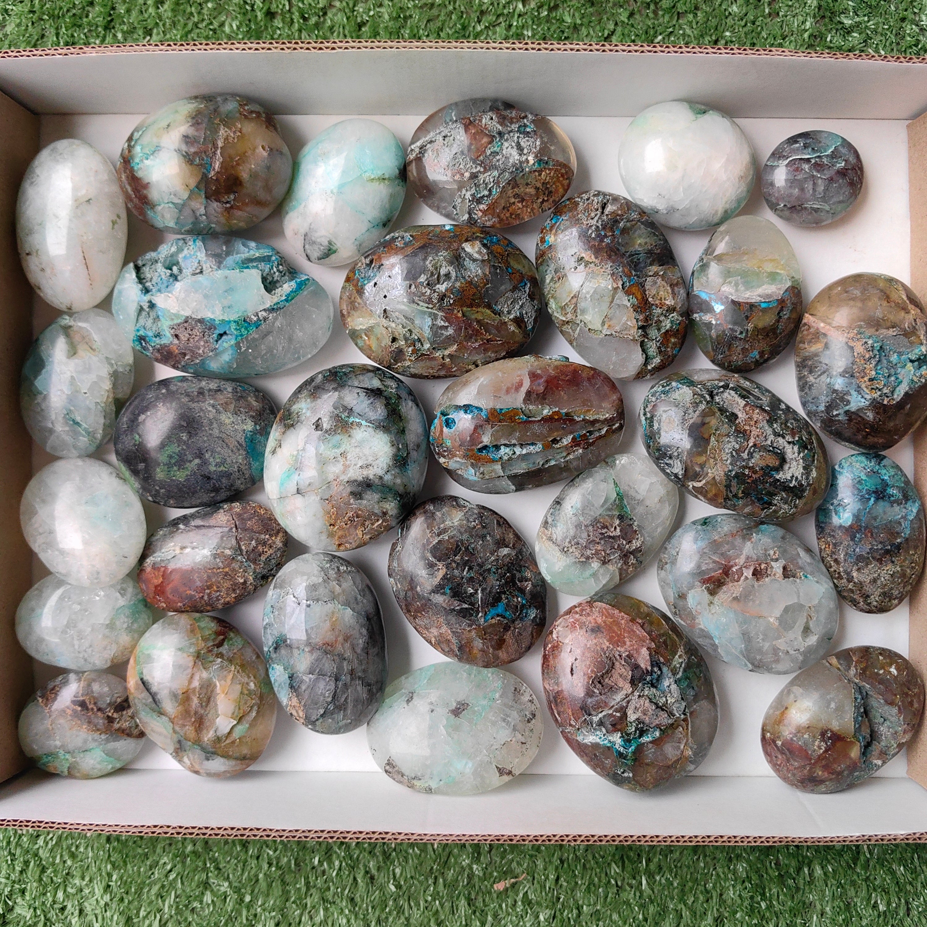 Lot 29 pcs Quantum quattro palm