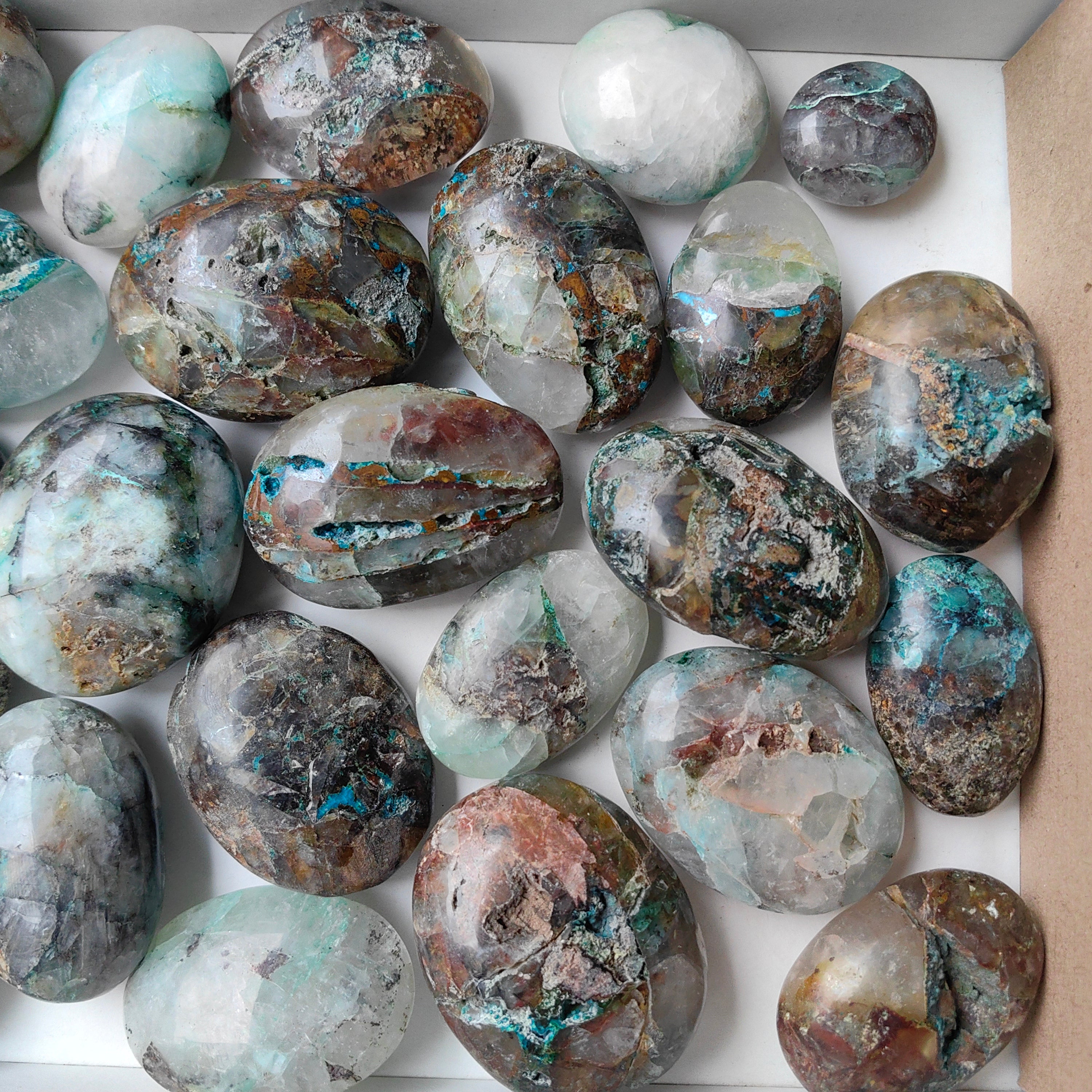 Lot 29 pcs Quantum quattro palm