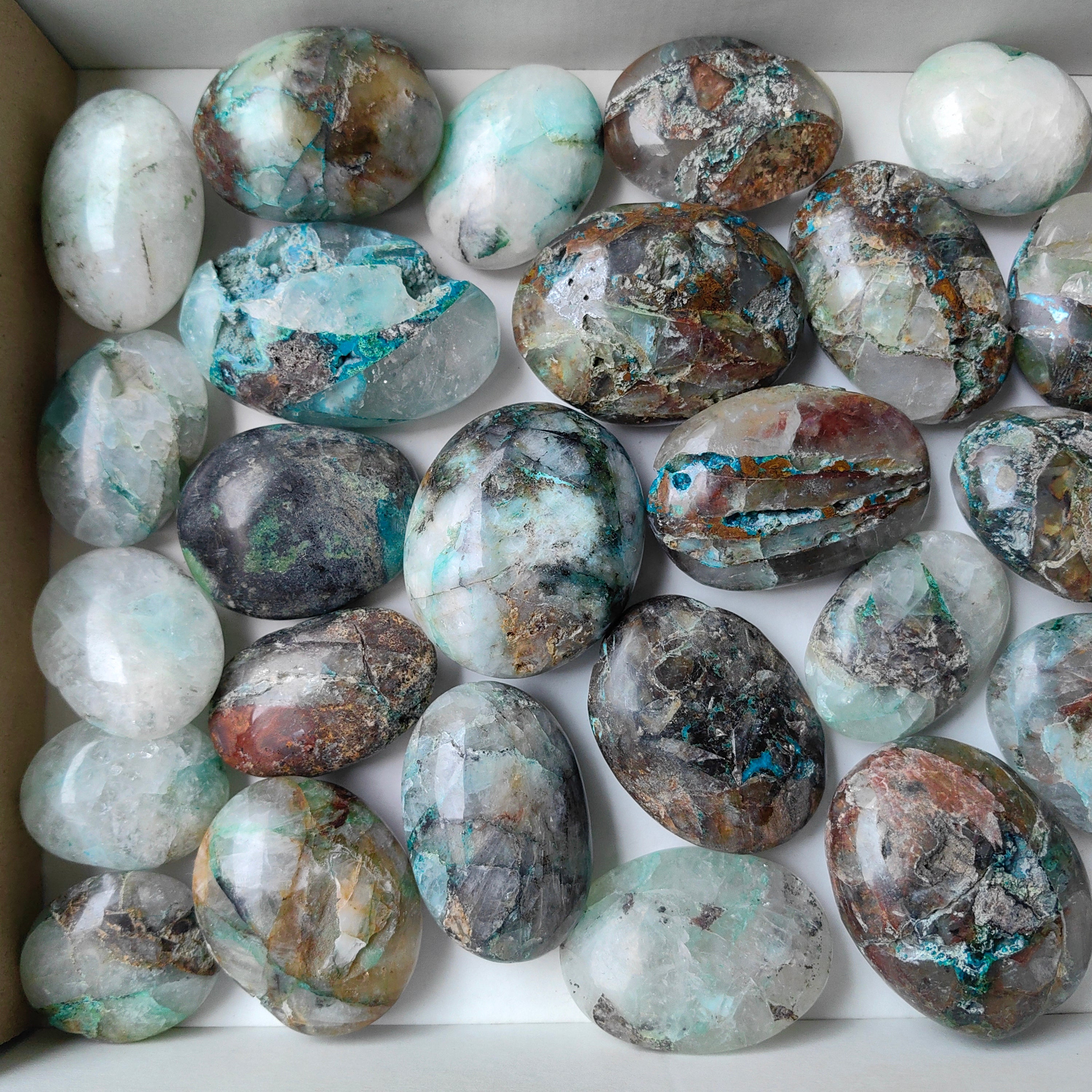 Lot 29 pcs Quantum quattro palm