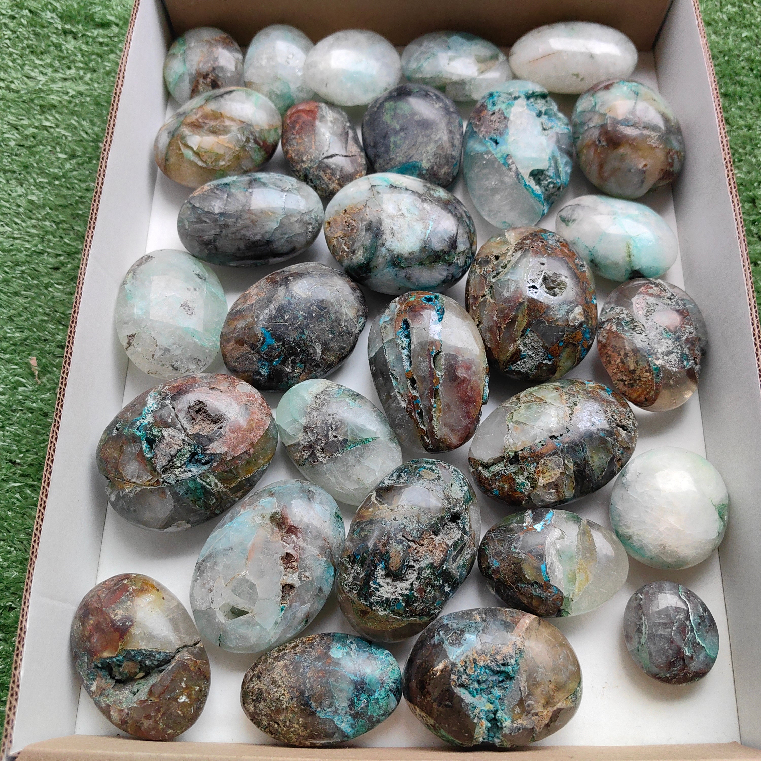 Lot 29 pcs Quantum quattro palm