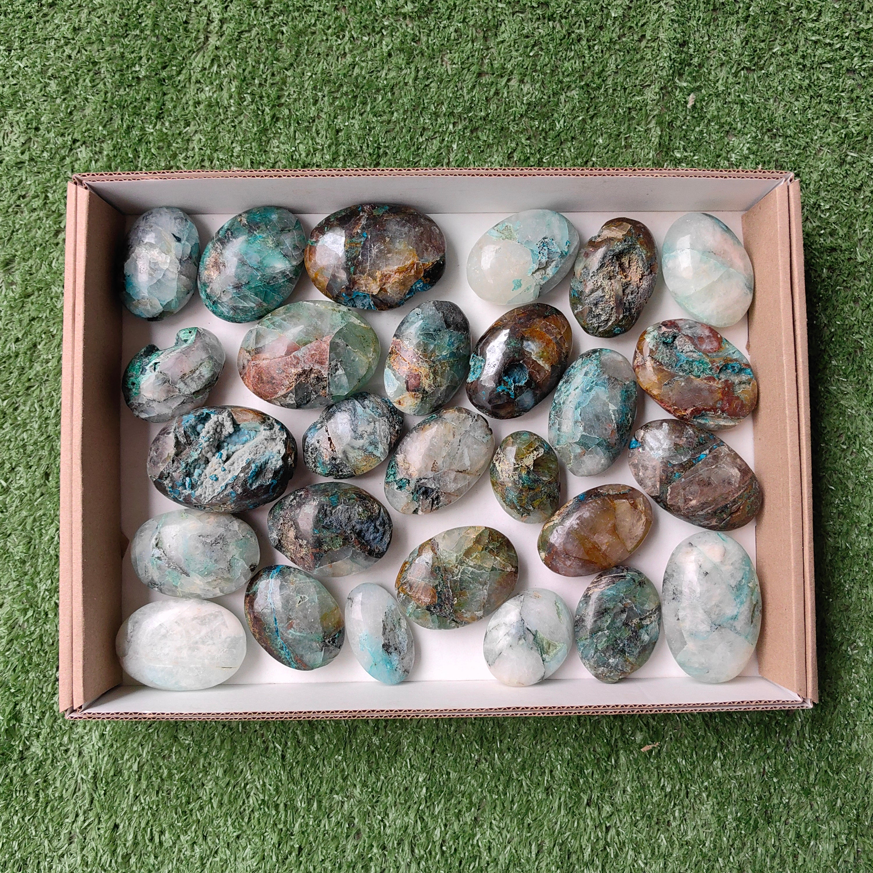 Lot 29 pcs Quantum quattro palm