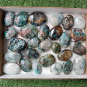 Lot 29 pcs Quantum quattro palm