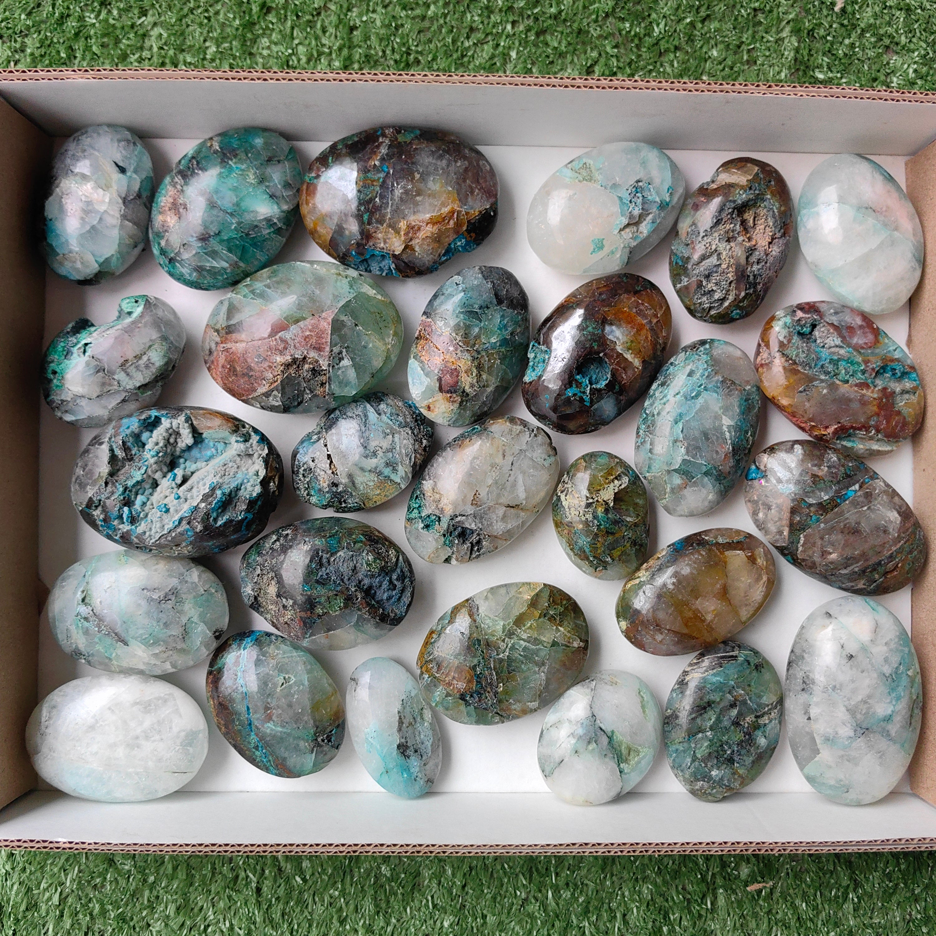 Lot 29 pcs Quantum quattro palm