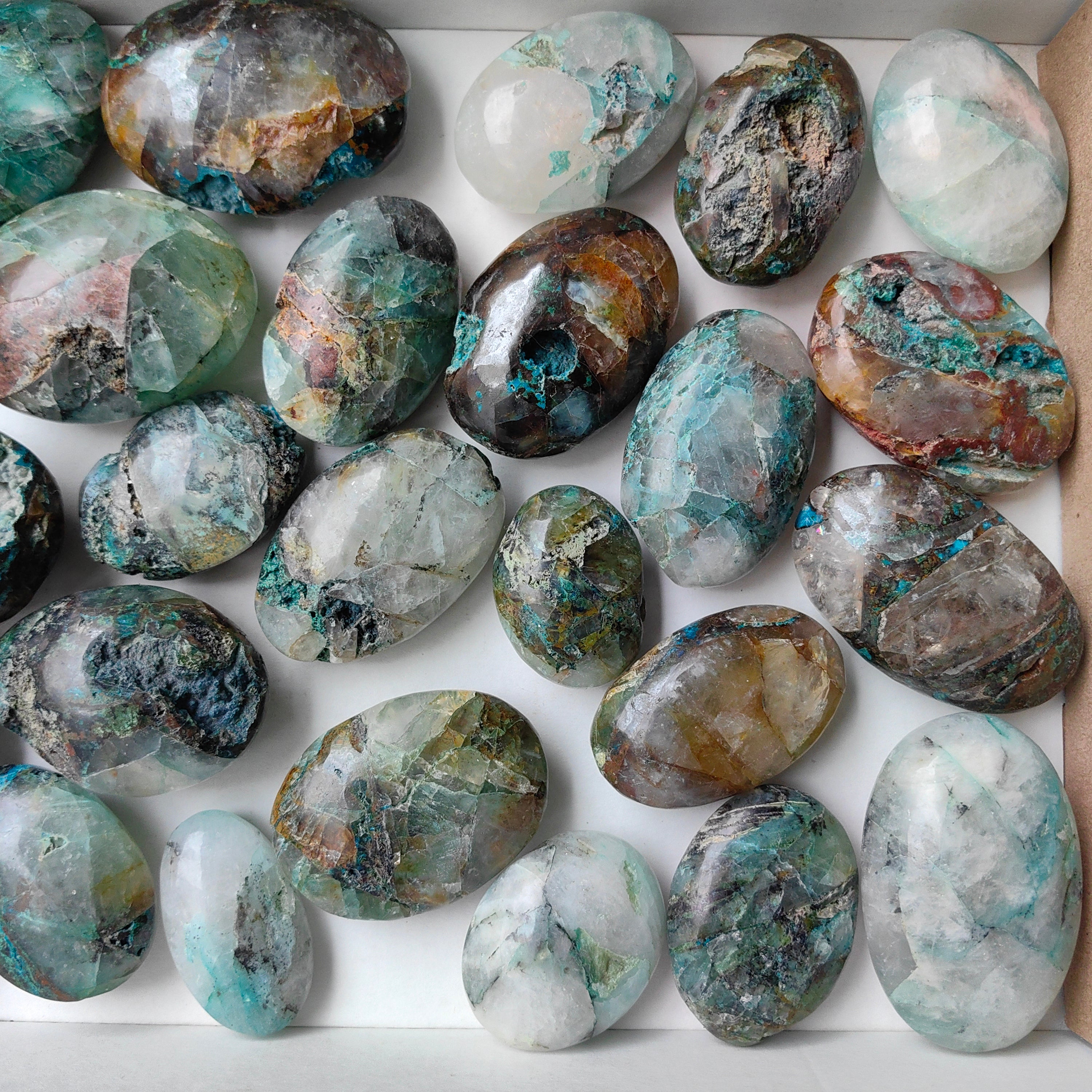 Lot 29 pcs Quantum quattro palm