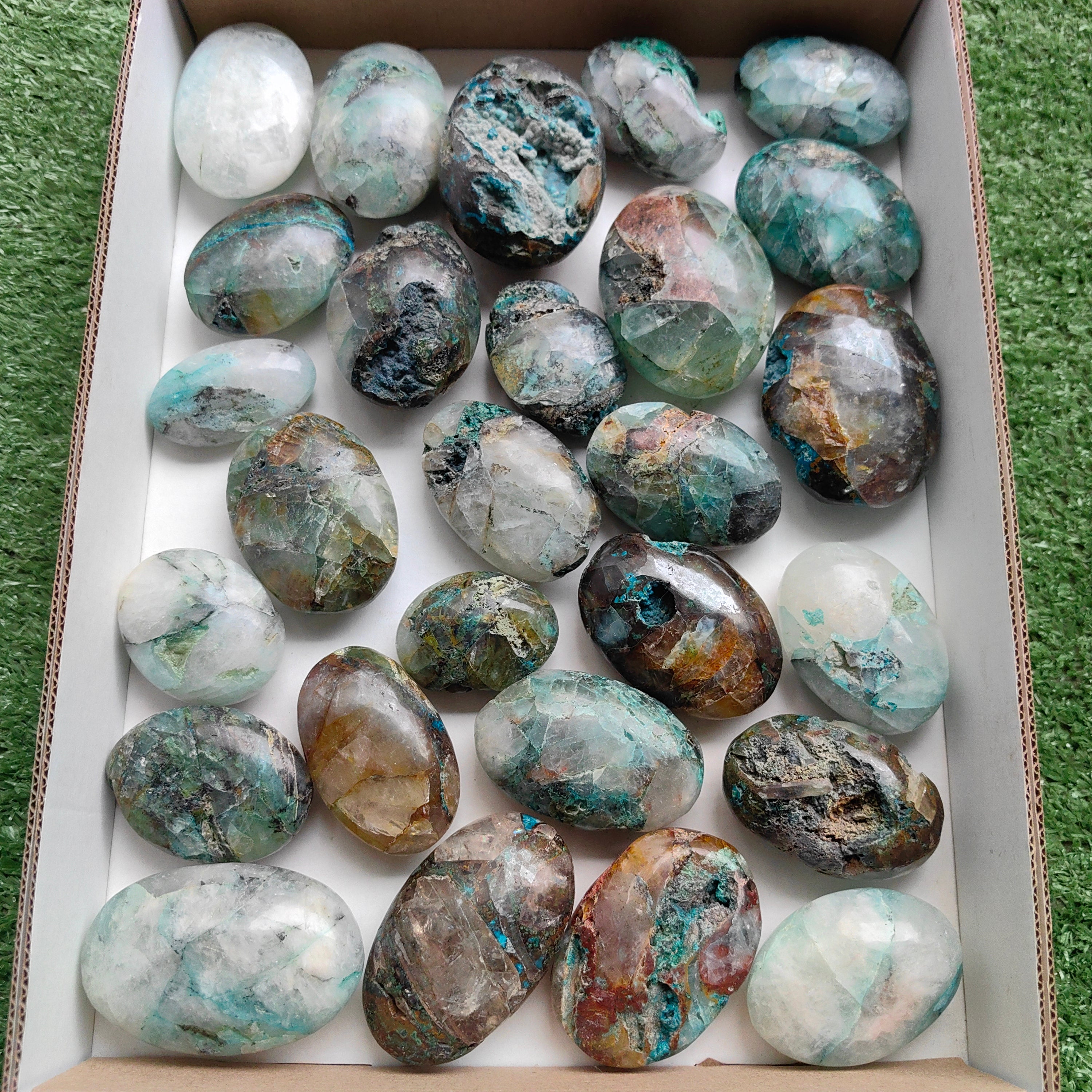 Lot 29 pcs Quantum quattro palm