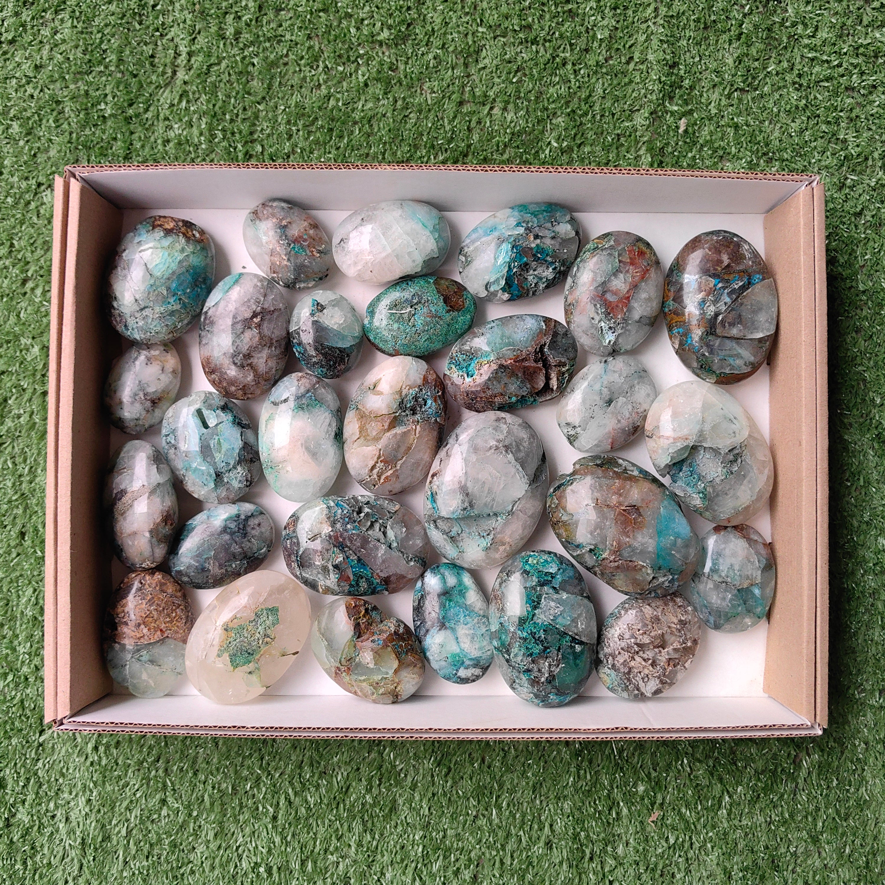Lot 28 pcs Quantum quattro palm