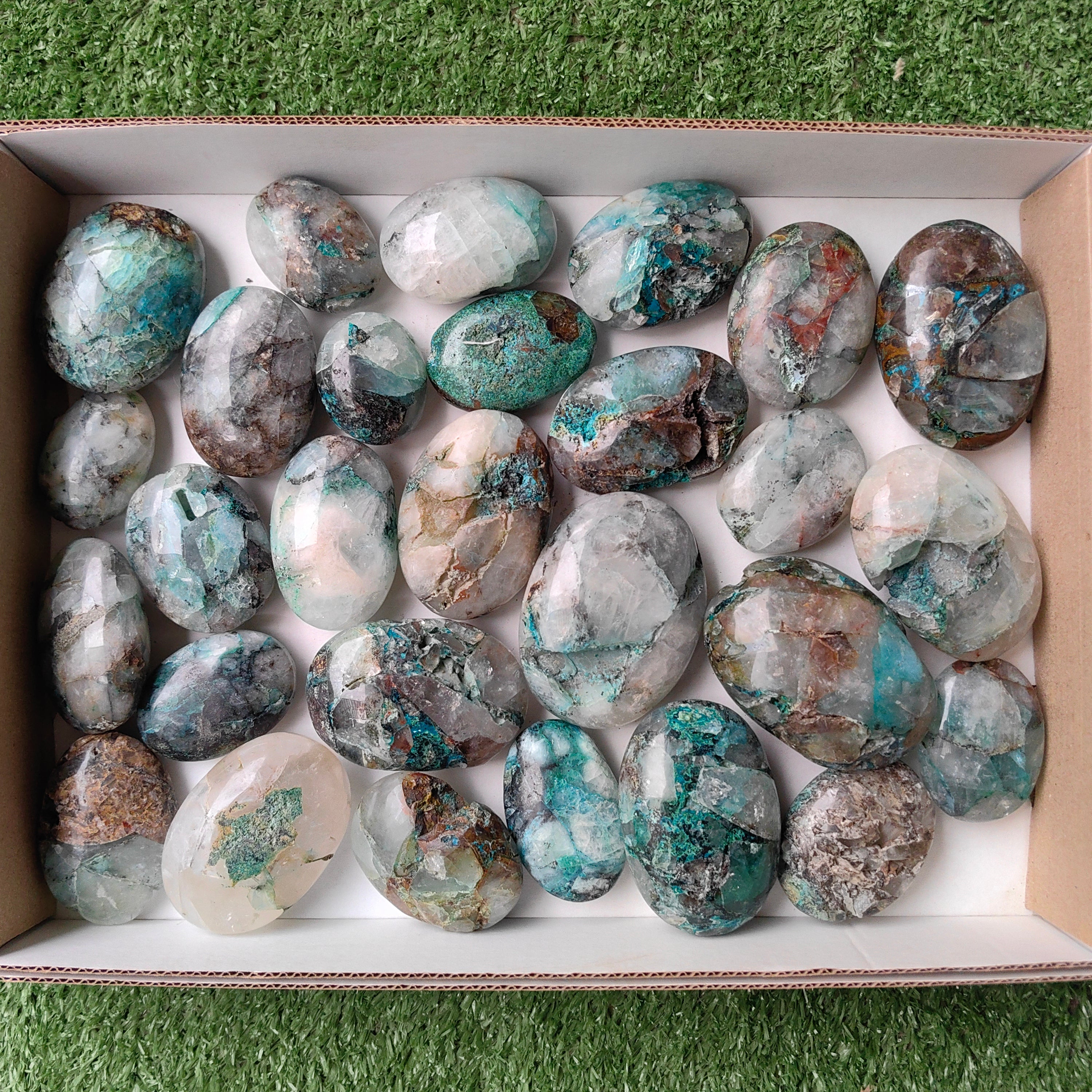 Lot 28 pcs Quantum quattro palm