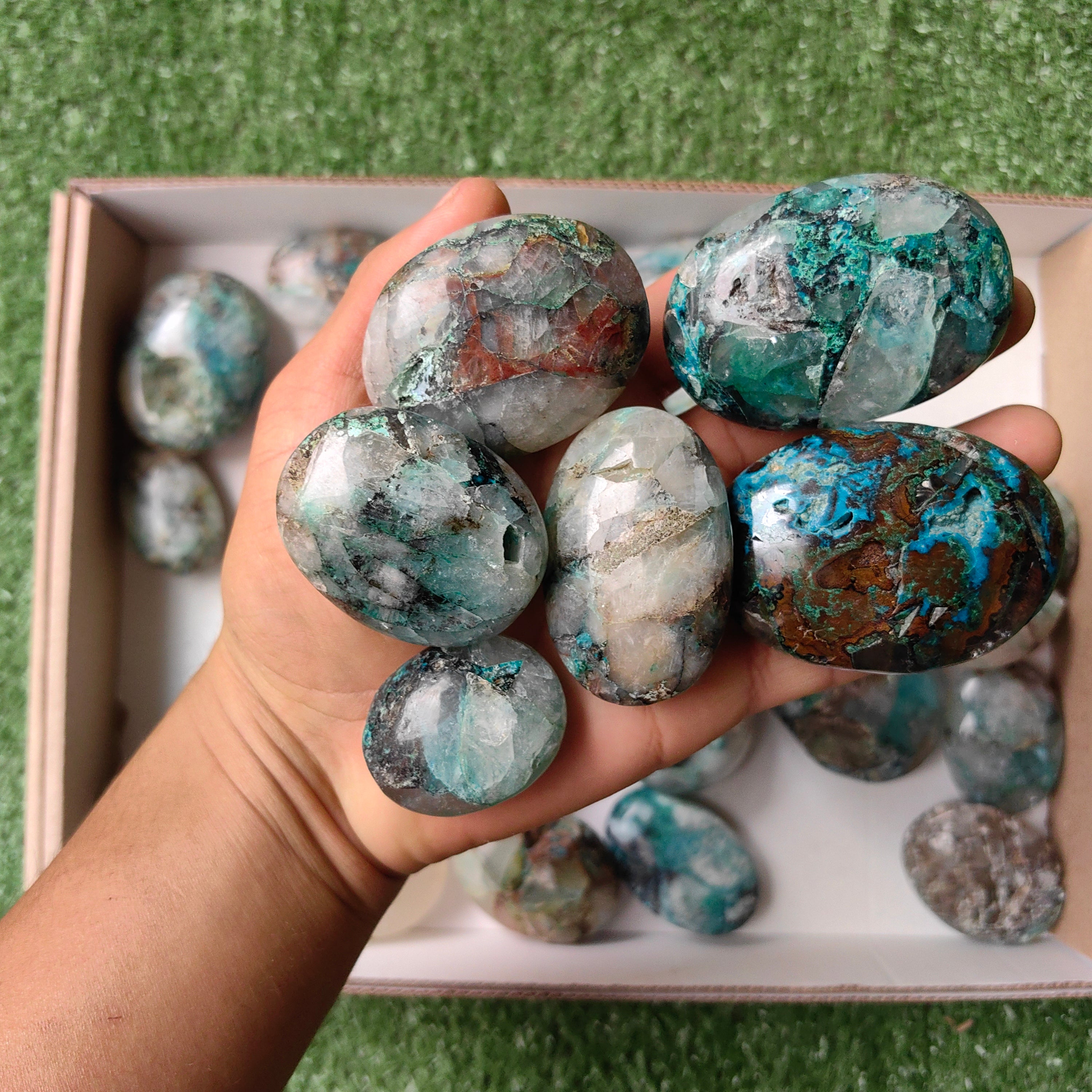 Lot 28 pcs Quantum quattro palm