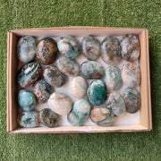 Lot 23 pcs Chrysocolla on Quartz palm