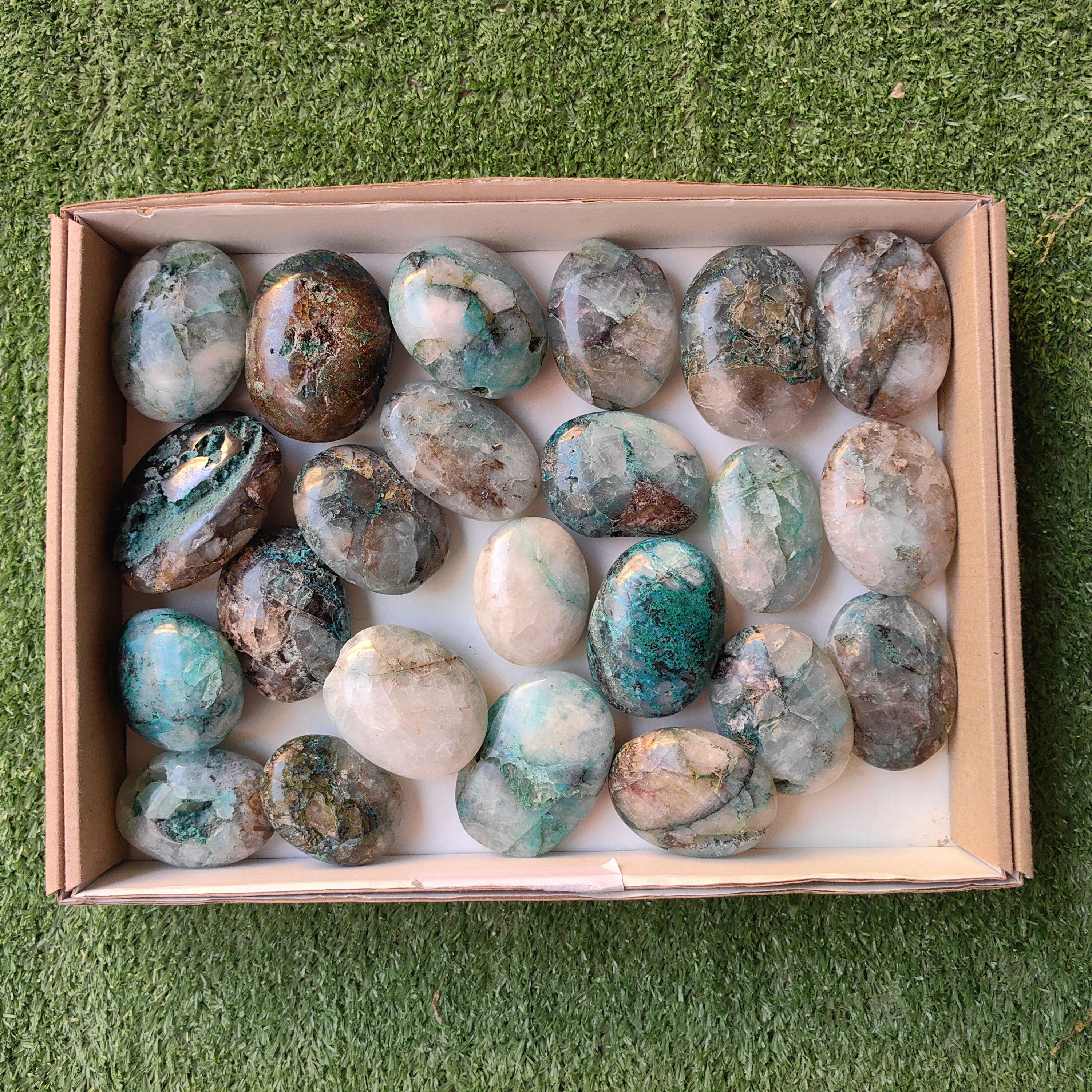 Lot 23 pcs Chrysocolla on Quartz palm