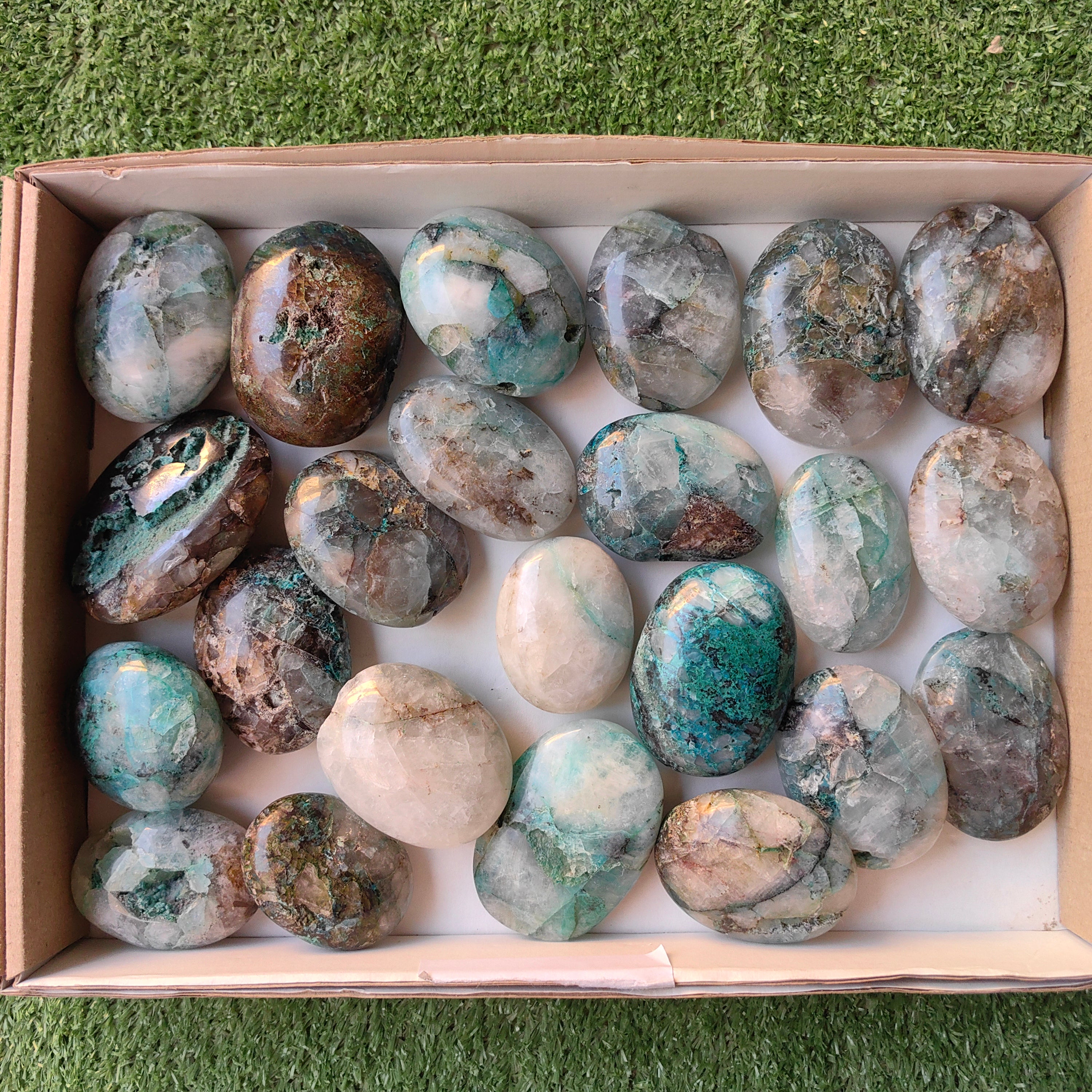 Lot 23 pcs Chrysocolla on Quartz palm