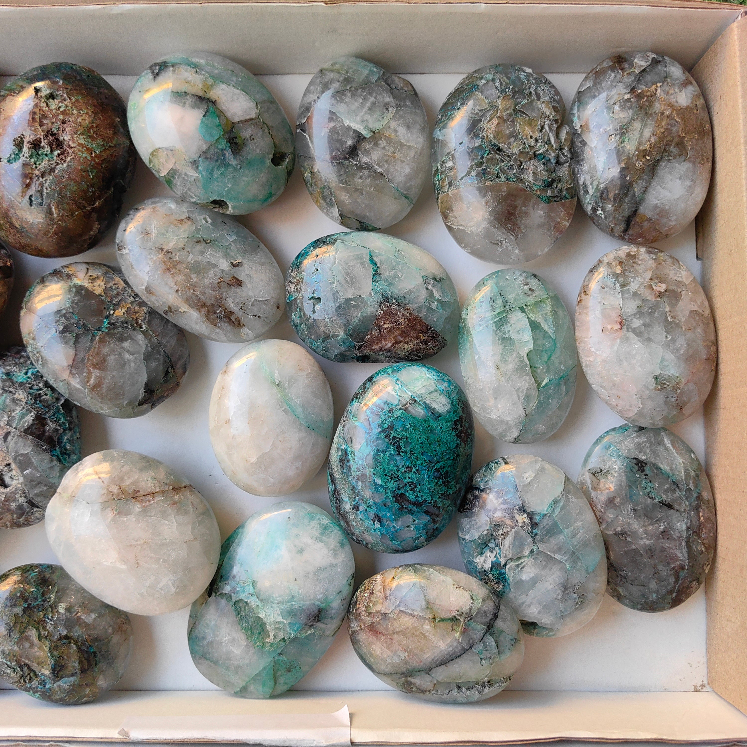Lot 23 pcs Chrysocolla on Quartz palm