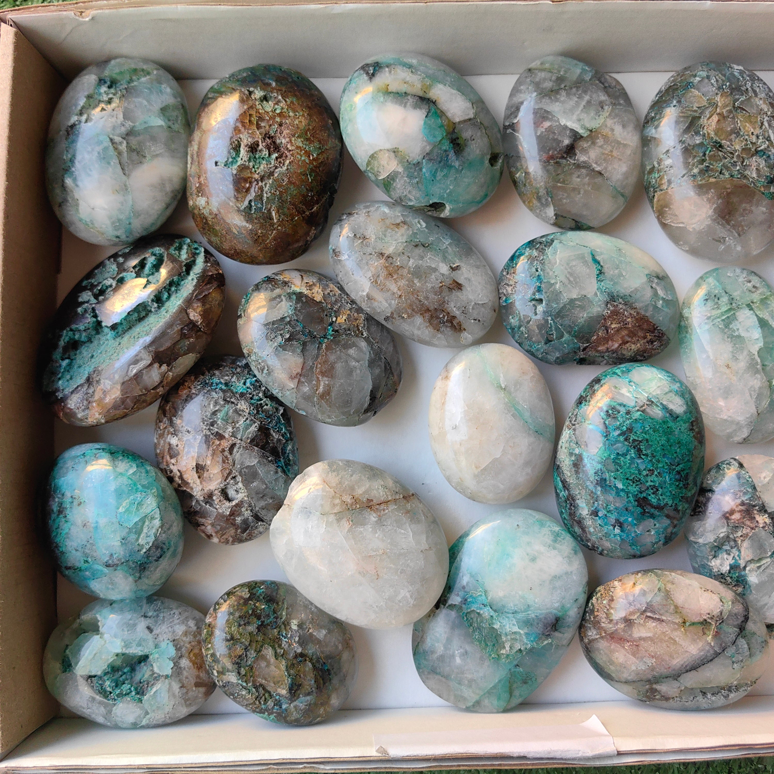 Lot 23 pcs Chrysocolla on Quartz palm