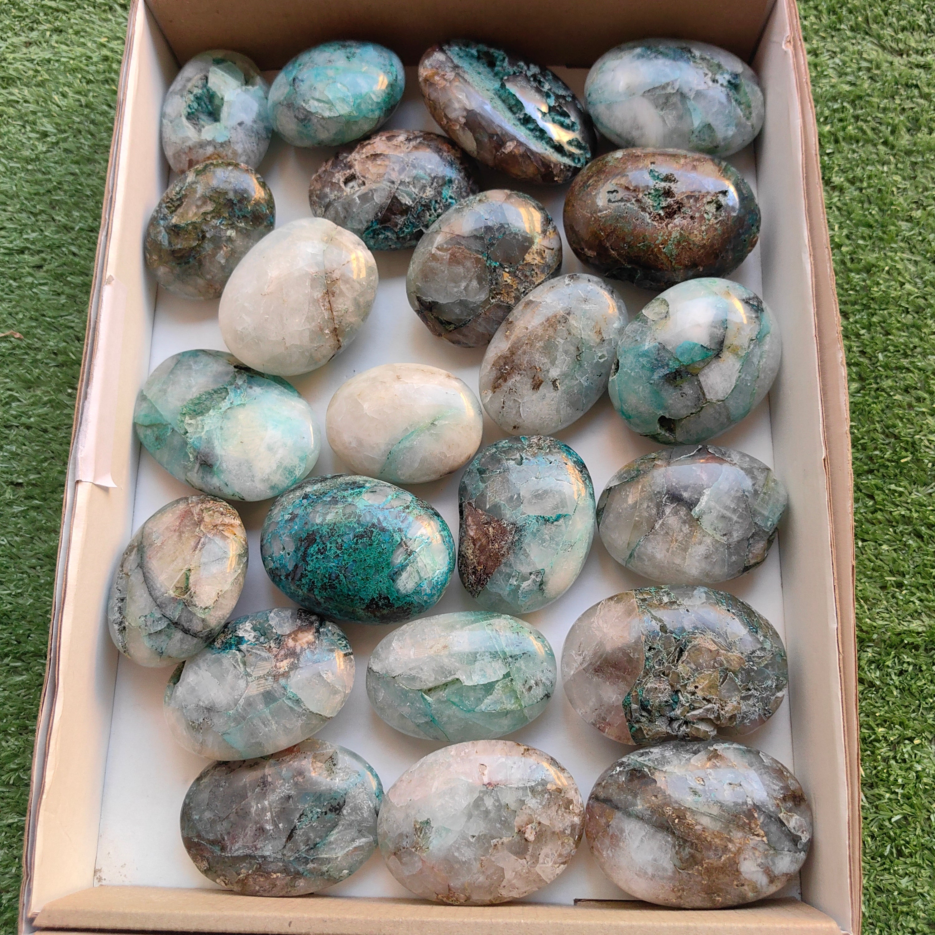 Lot 23 pcs Chrysocolla on Quartz palm