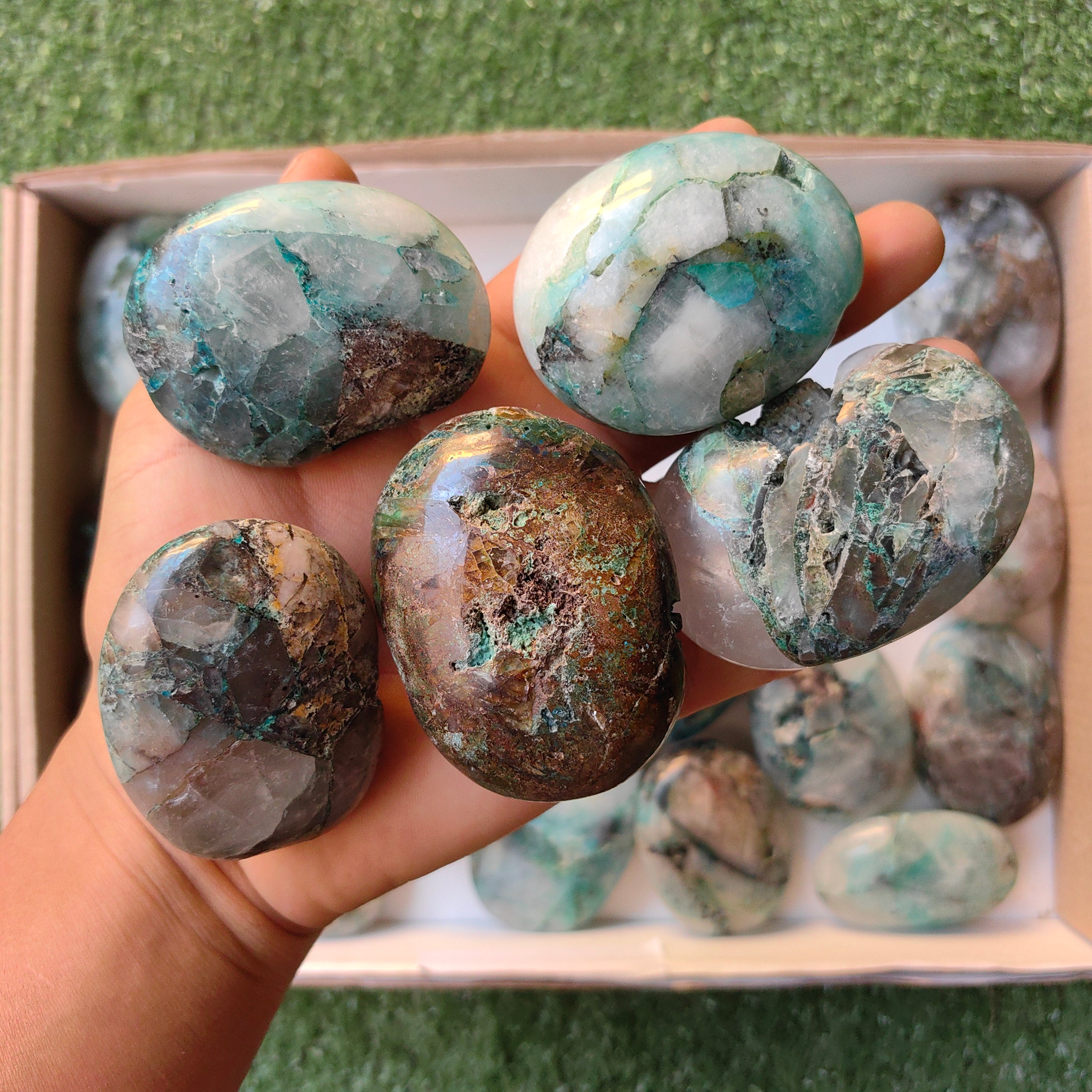 Lot 23 pcs Chrysocolla on Quartz palm