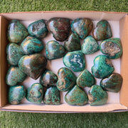 Lot 24 pcs Chrysocolla on Malachite Heart
