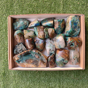 Lot 19 pcs Quantum Quattro Free Form