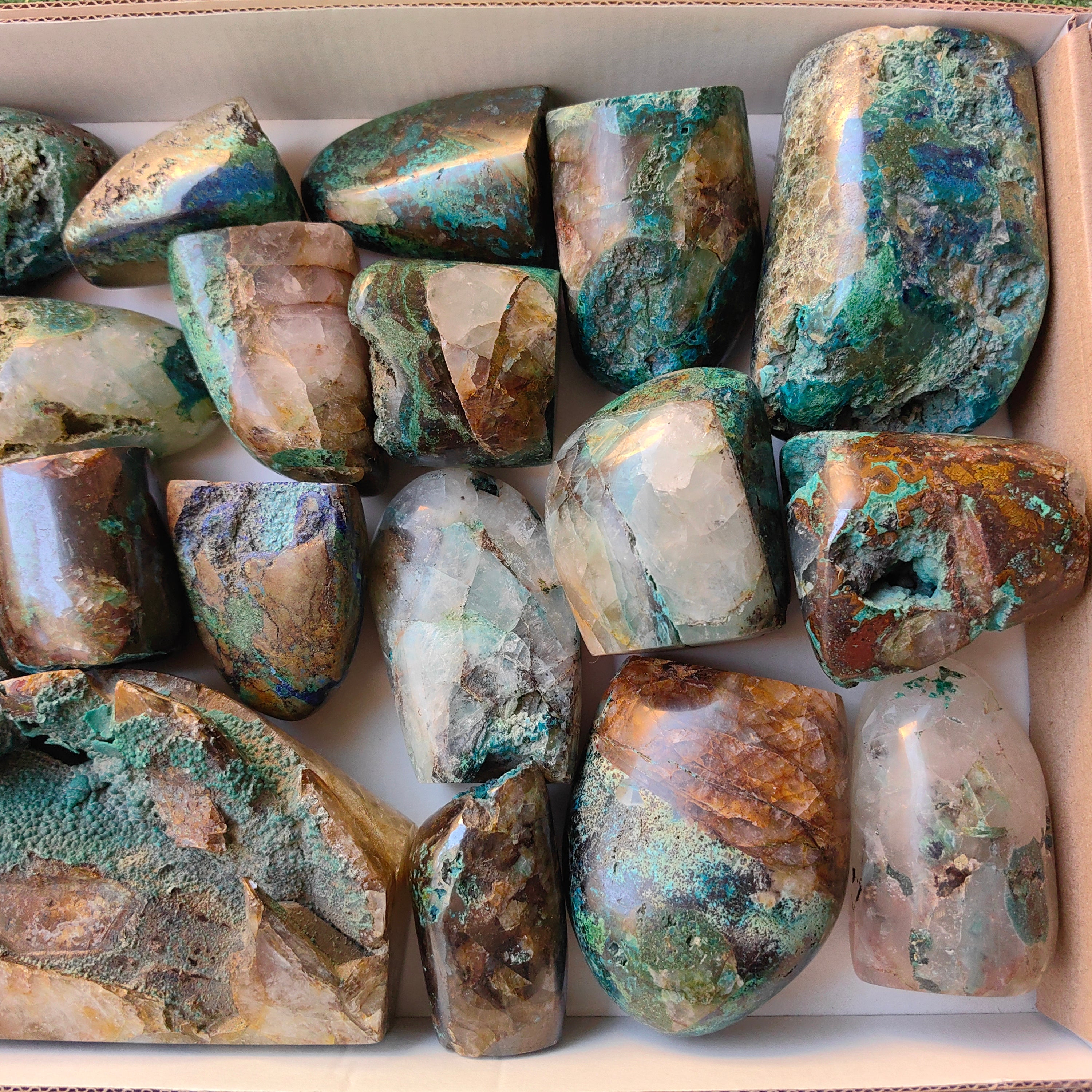 Lot 19 pcs Quantum Quattro Free Form