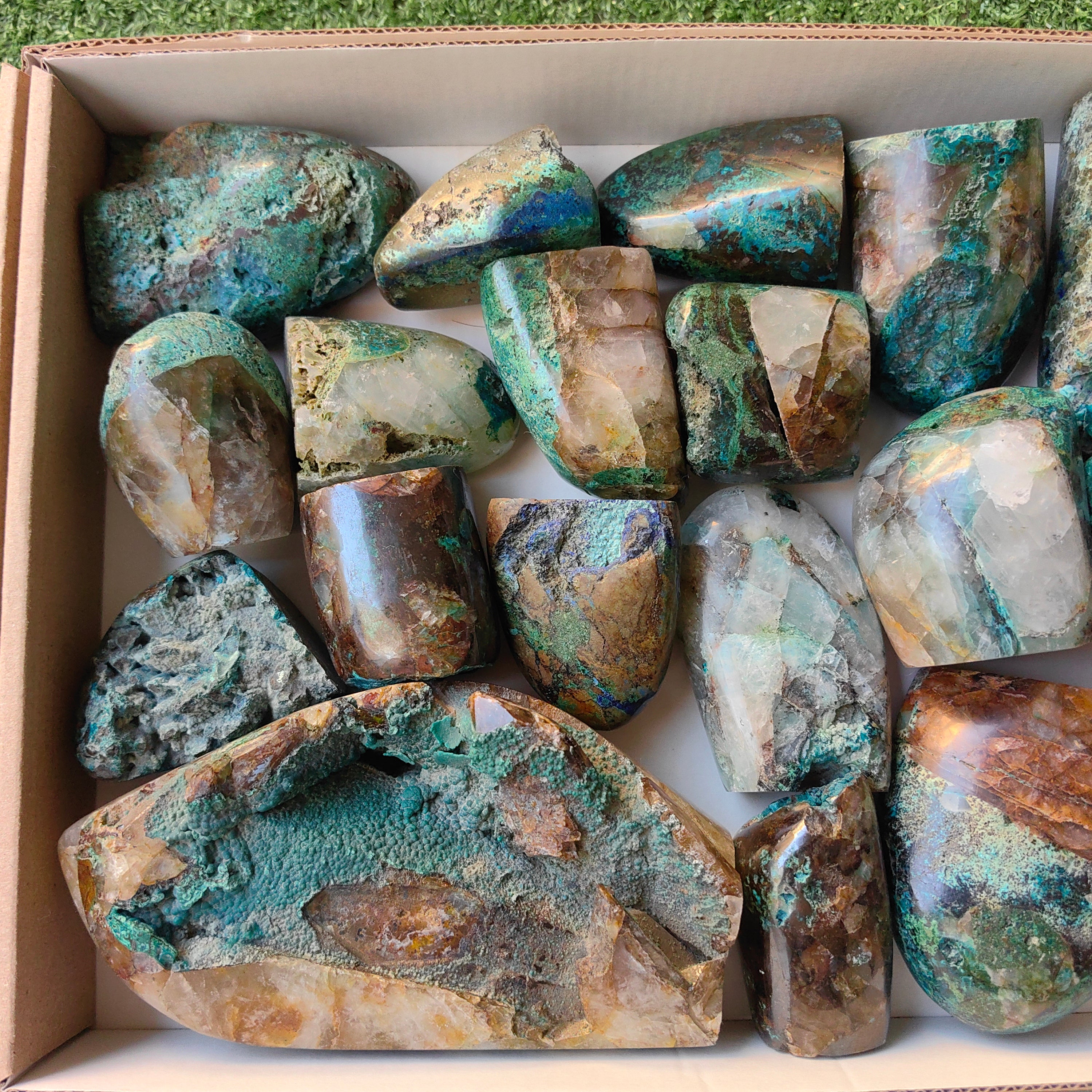 Lot 19 pcs Quantum Quattro Free Form