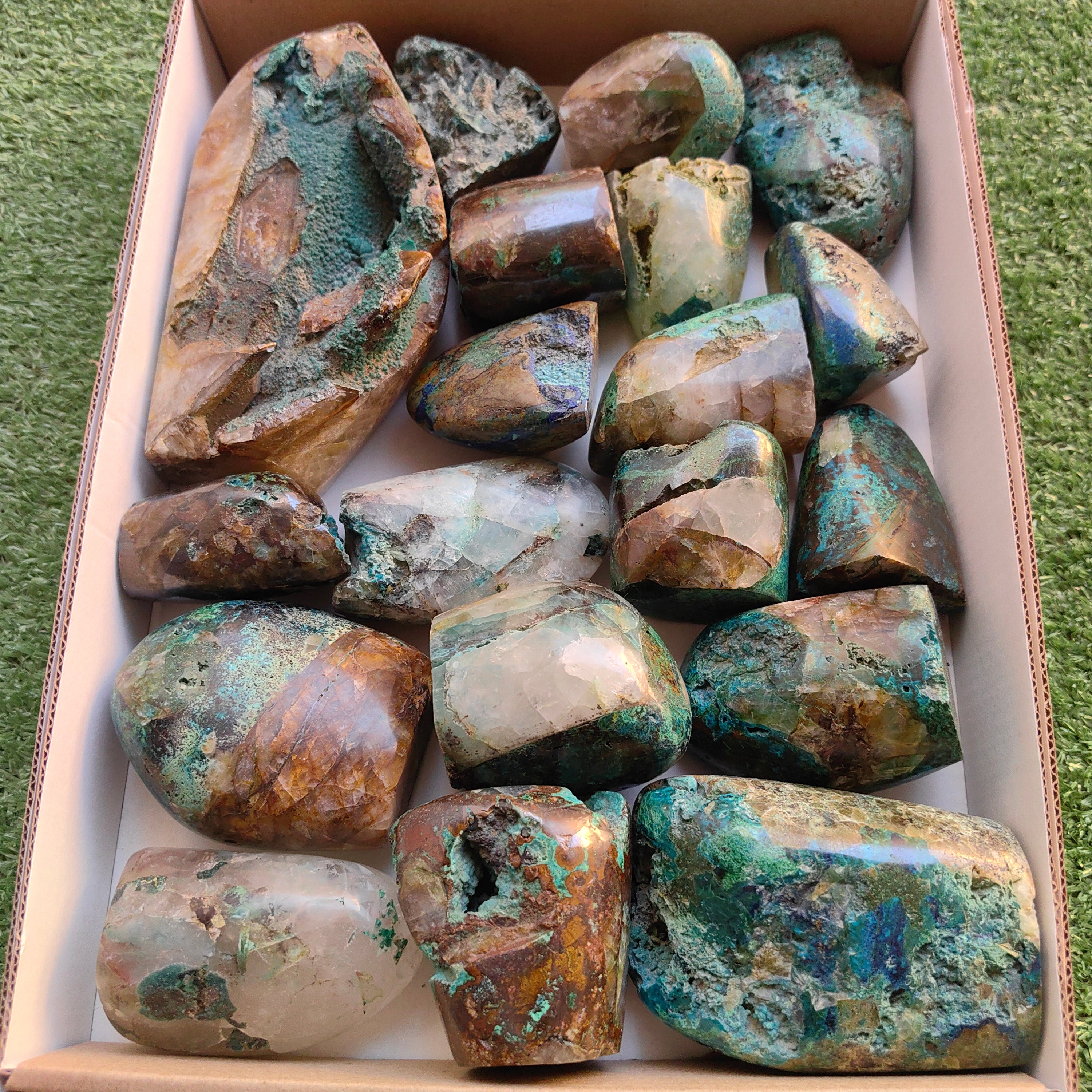 Lot 19 pcs Quantum Quattro Free Form