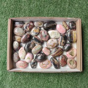 Lot 34 pcs Strawberry Pink Opal Palm