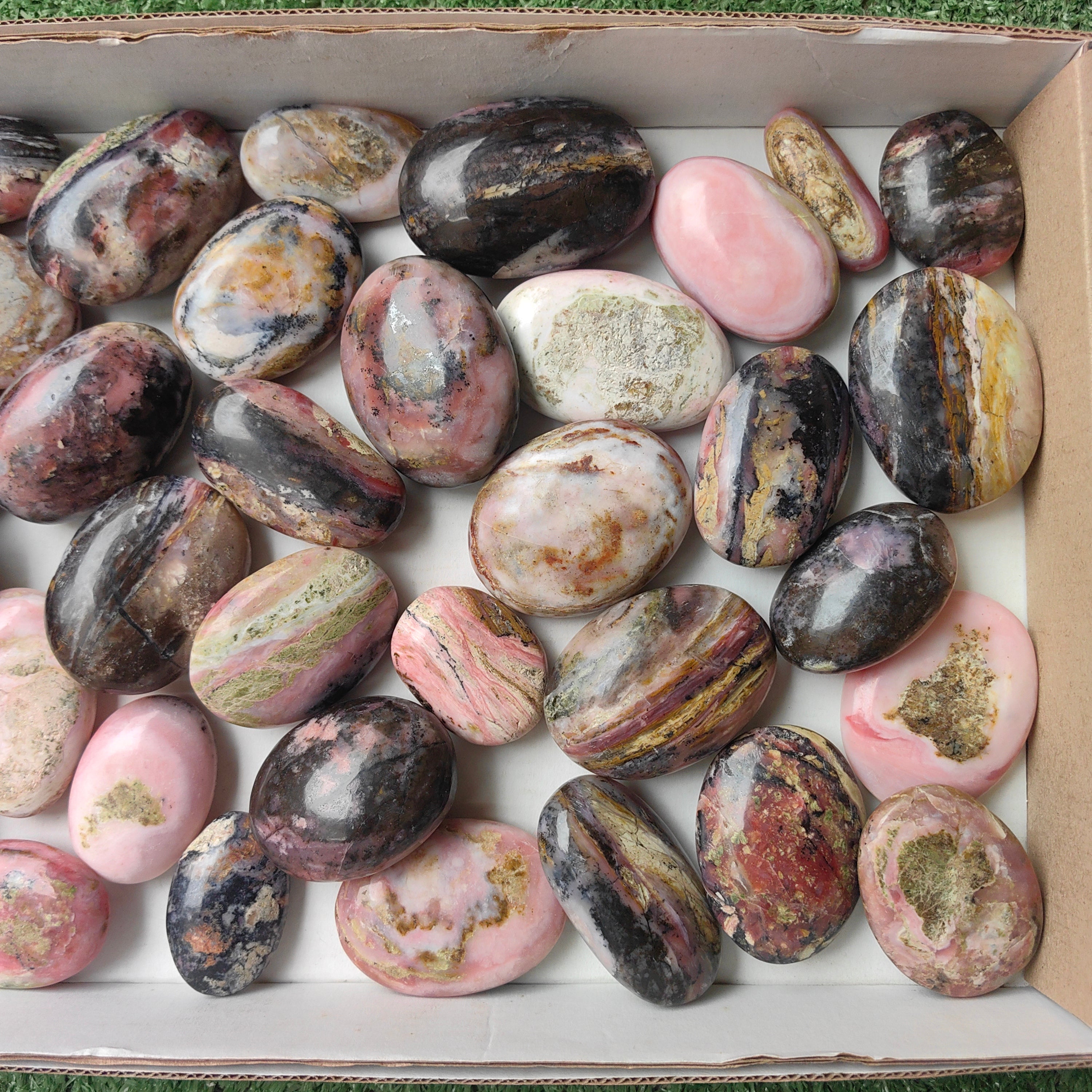 Lot 34 pcs Strawberry Pink Opal Palm