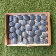 Lot 31 pcs Angelite Palm