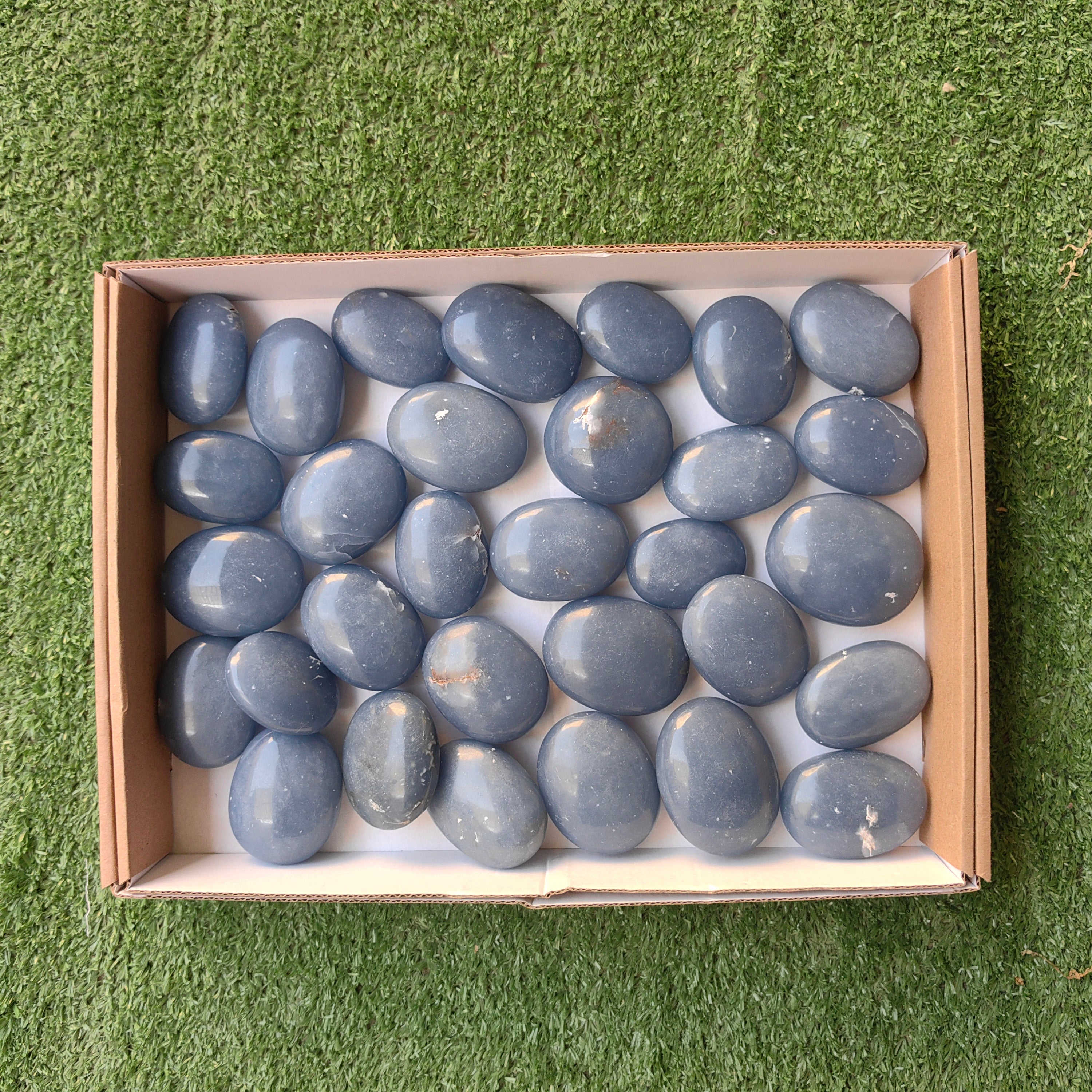 Lot 31 pcs Angelite Palm