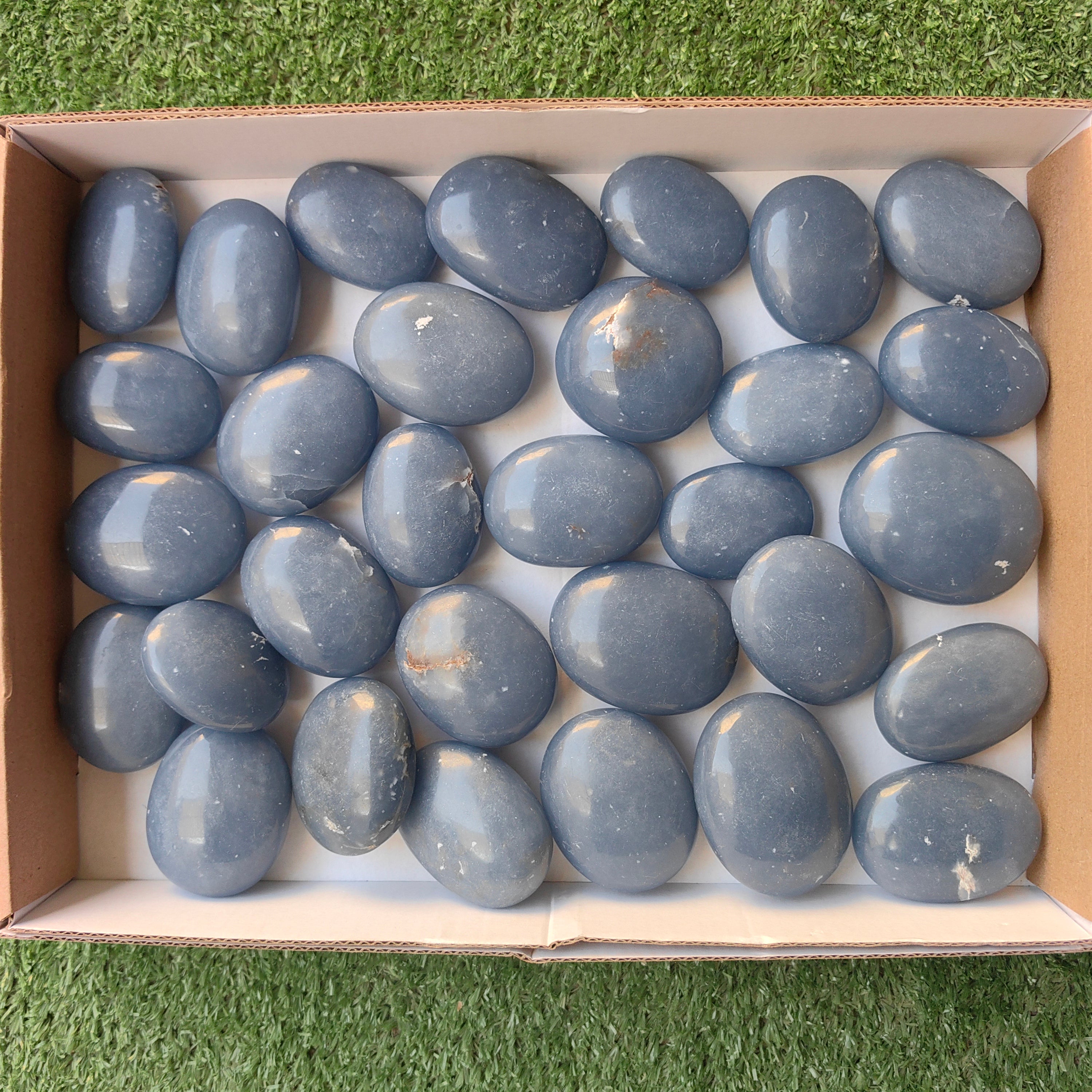 Lot 31 pcs Angelite Palm